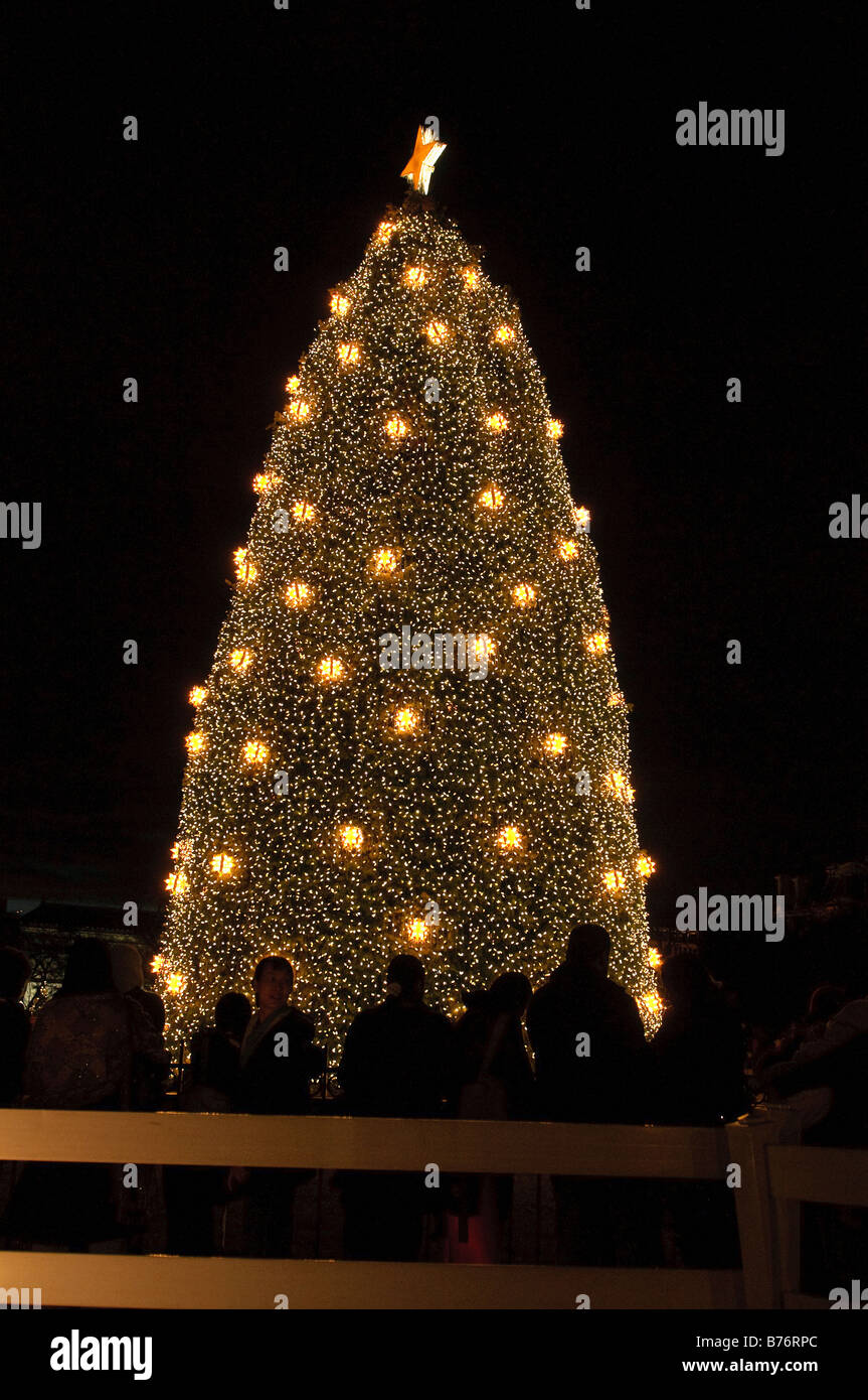 Der National Christmas Tree auf der Ellipse in Washington DC in der Nacht Stockfoto