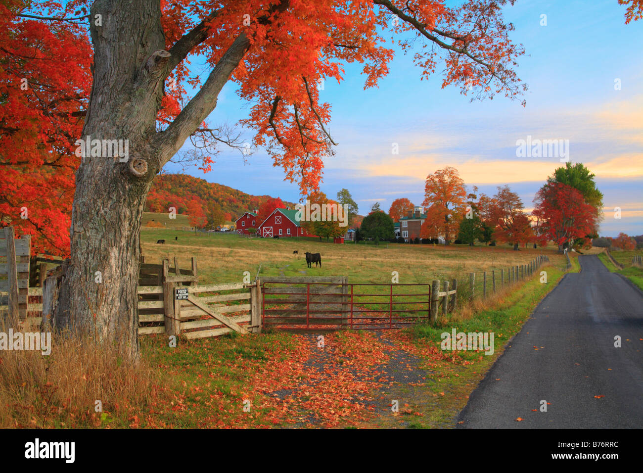 Dawn, Western Highland County, Virginia, USA Stockfoto