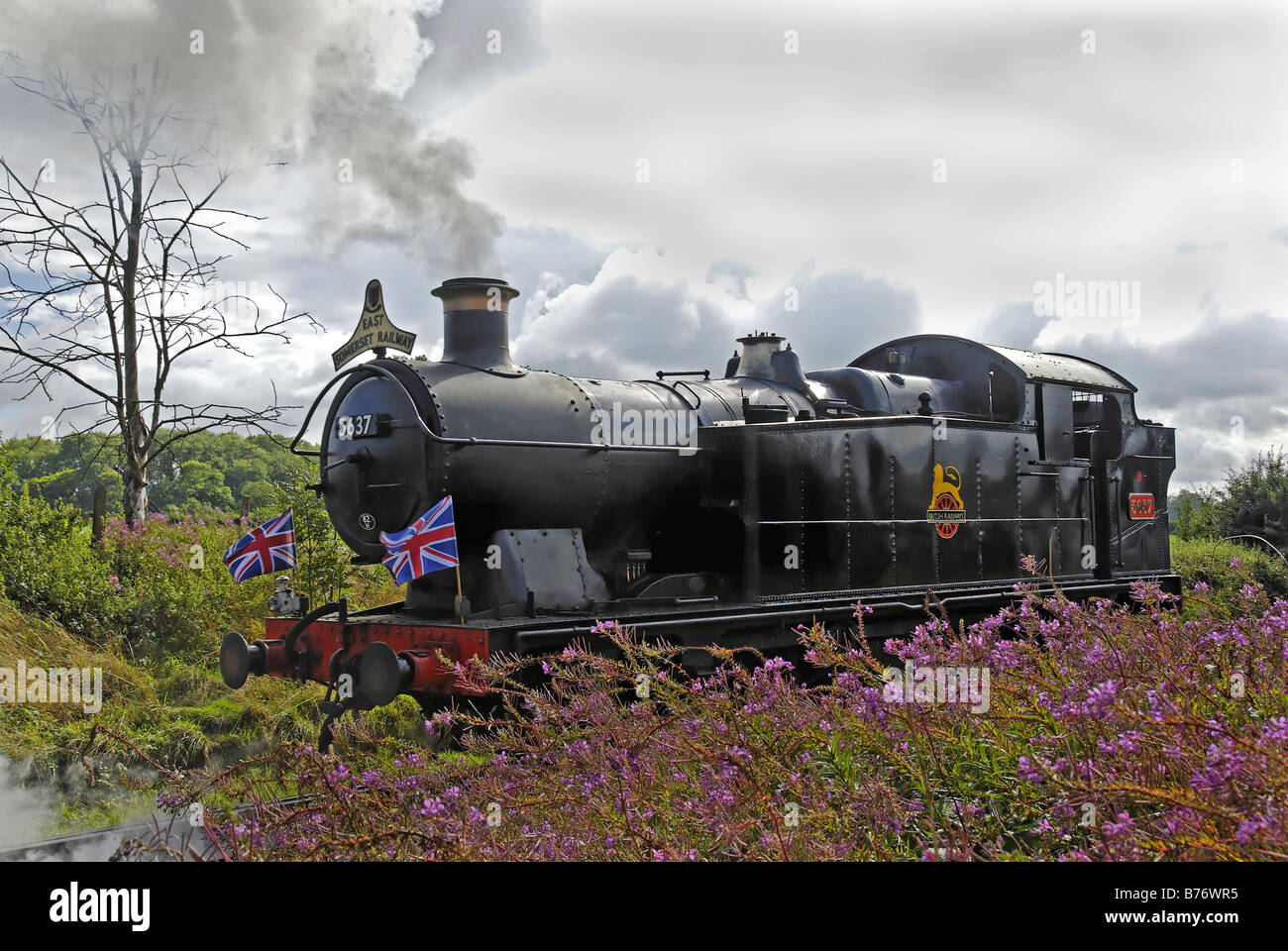 Dampfzug keine 5637 Stockfoto