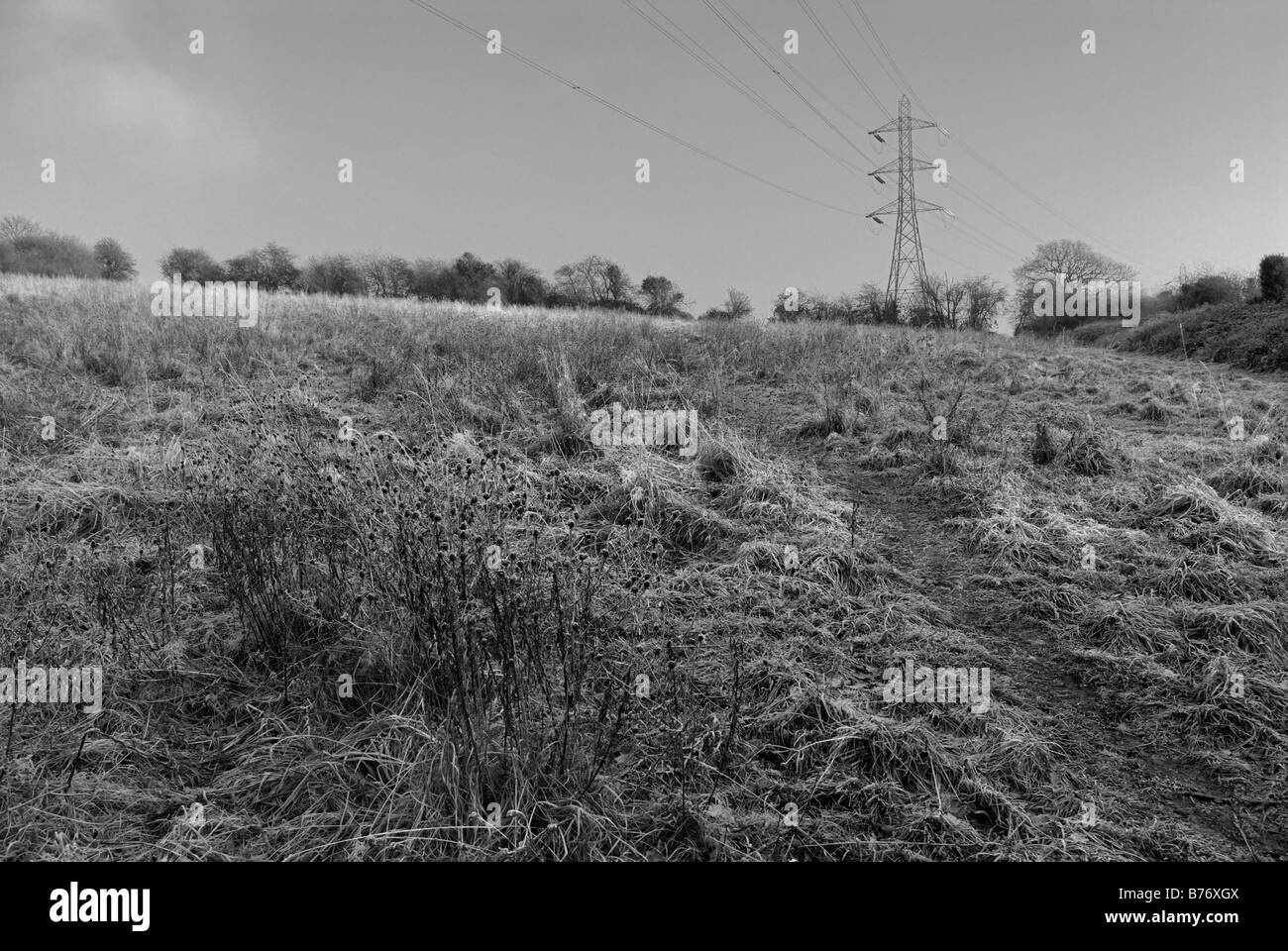 Ein Strom-Stromversorgung Pylon in einem Feld der UK bei schweren Frost im winter Stockfoto