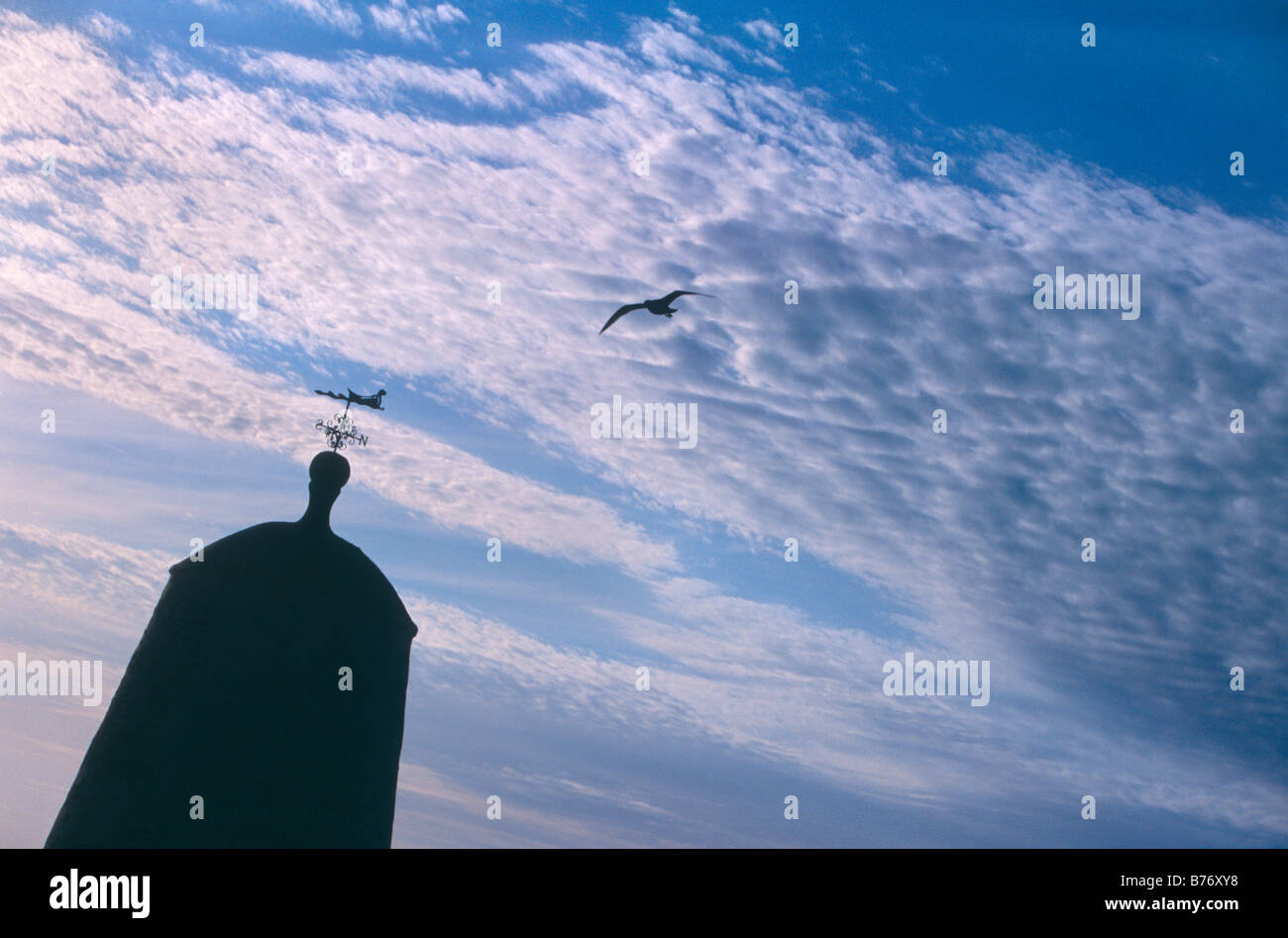 Einsame Möwe fliegt über ein Wahrzeichen in Portreath, Cornwall, Silhouette gegen Altocumulus Wolke, UK Stockfoto
