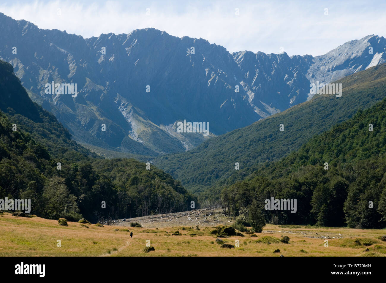 Rees-Tal, Rees Dart verfolgen, Mount Aspiring Nationalpark, Südinsel, Neuseeland Stockfoto