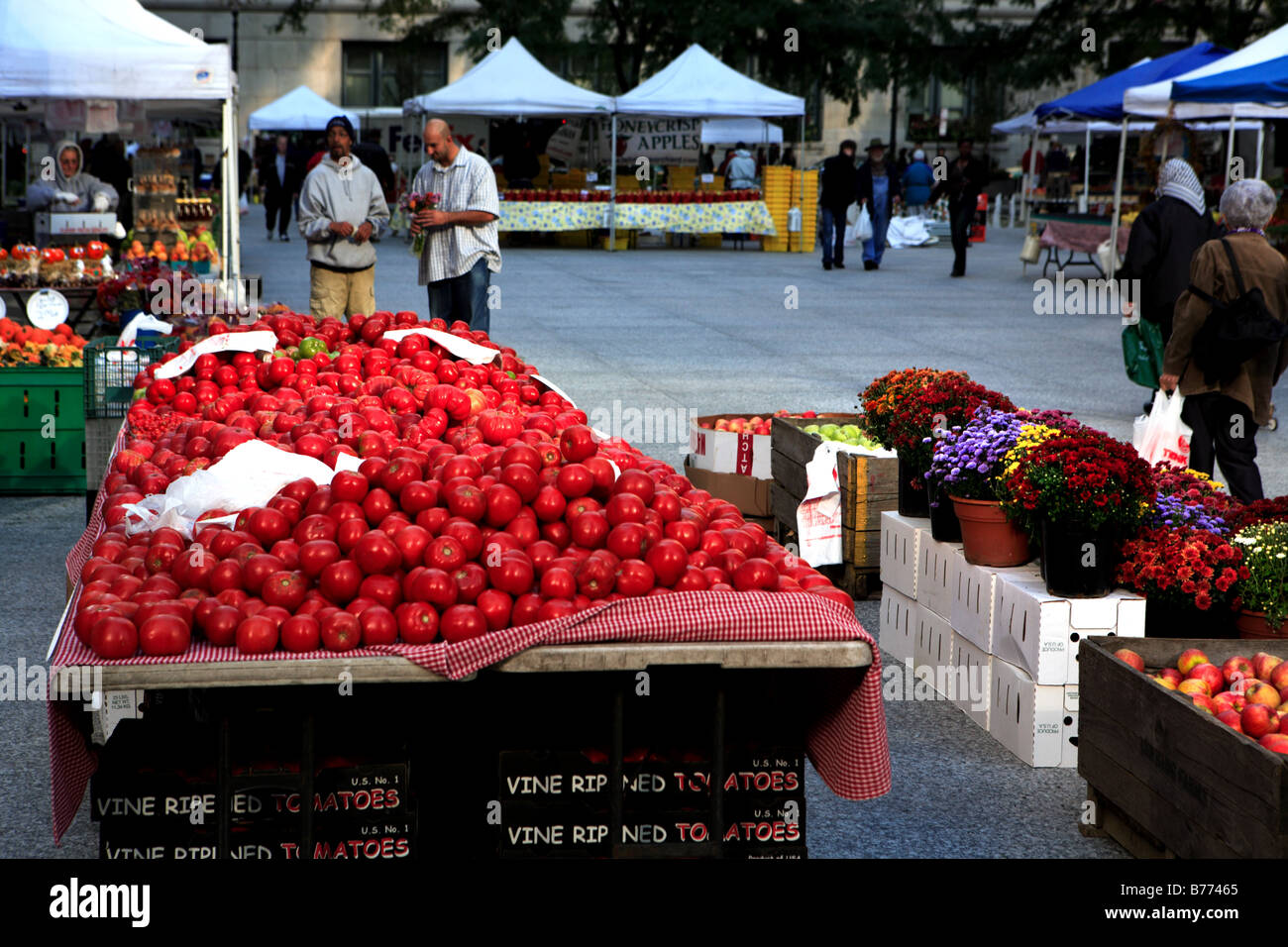BAUERNMARKT IM DALEY PLAZA IN DER INNENSTADT VON CHICAGO ILLINOIS USA Stockfoto