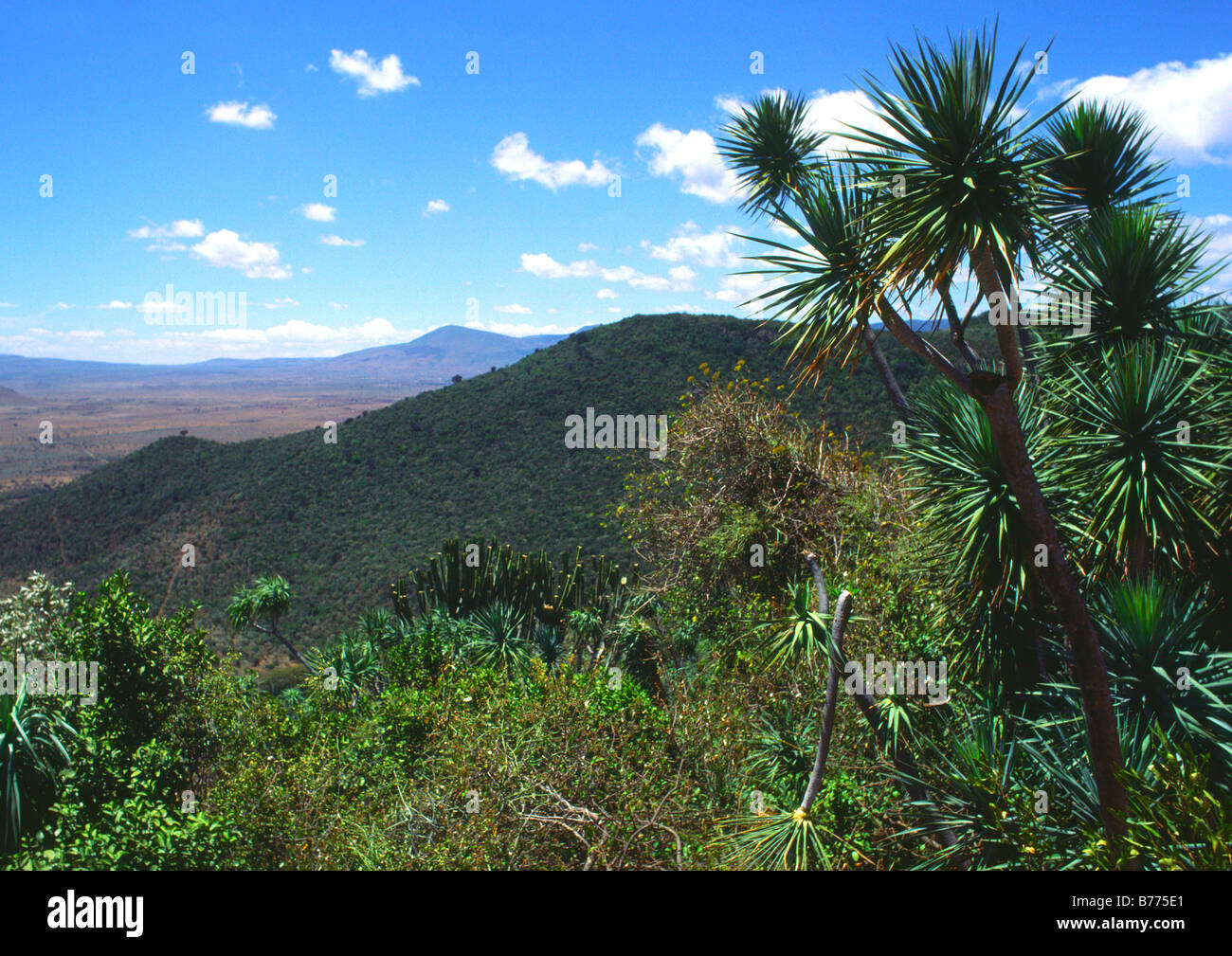Das Great Rift Valley in der Nähe von Nairobi, Kenia, Afrika im Jahr 1984 Stockfoto