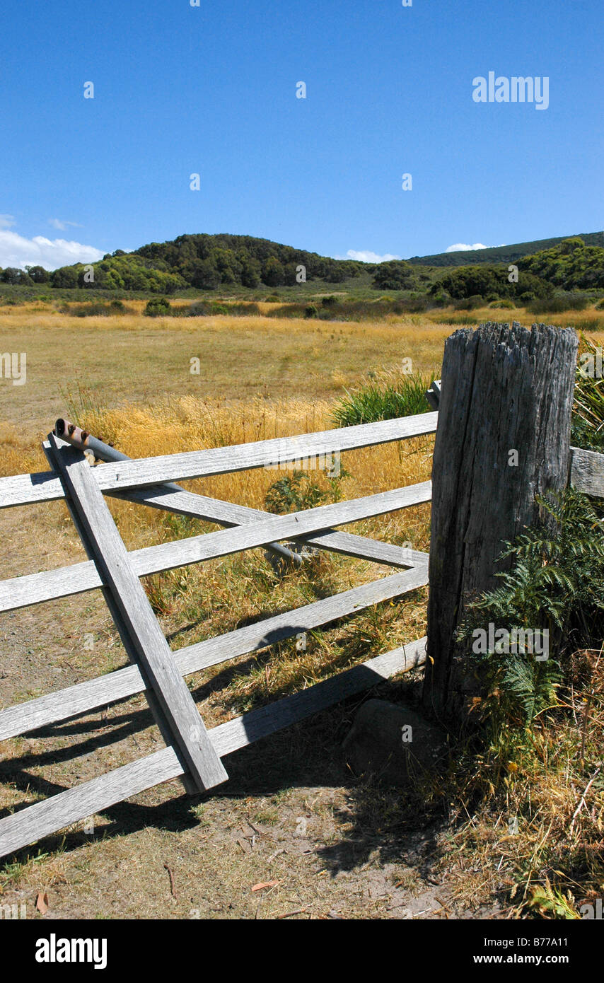 Eine ländliche Gebiet über ein hölzernes Tor im Sommer, Tasmanien. Stockfoto