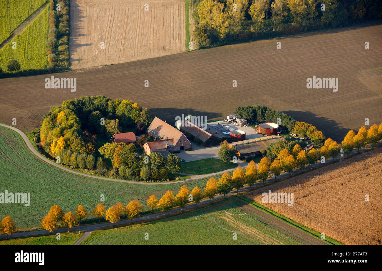 Luftaufnahme, Bauernhof, Felder, Landwirtschaft, Ascheberg in der Nähe von Münster, Münsterland, Nordrhein-Westfalen, Deutschland, Europa Stockfoto
