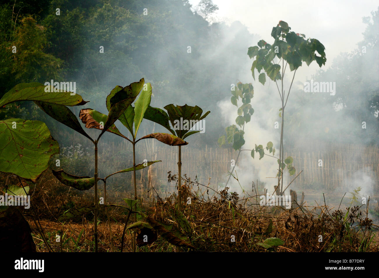 Schrägstrich und brennen in Laos Stockfoto
