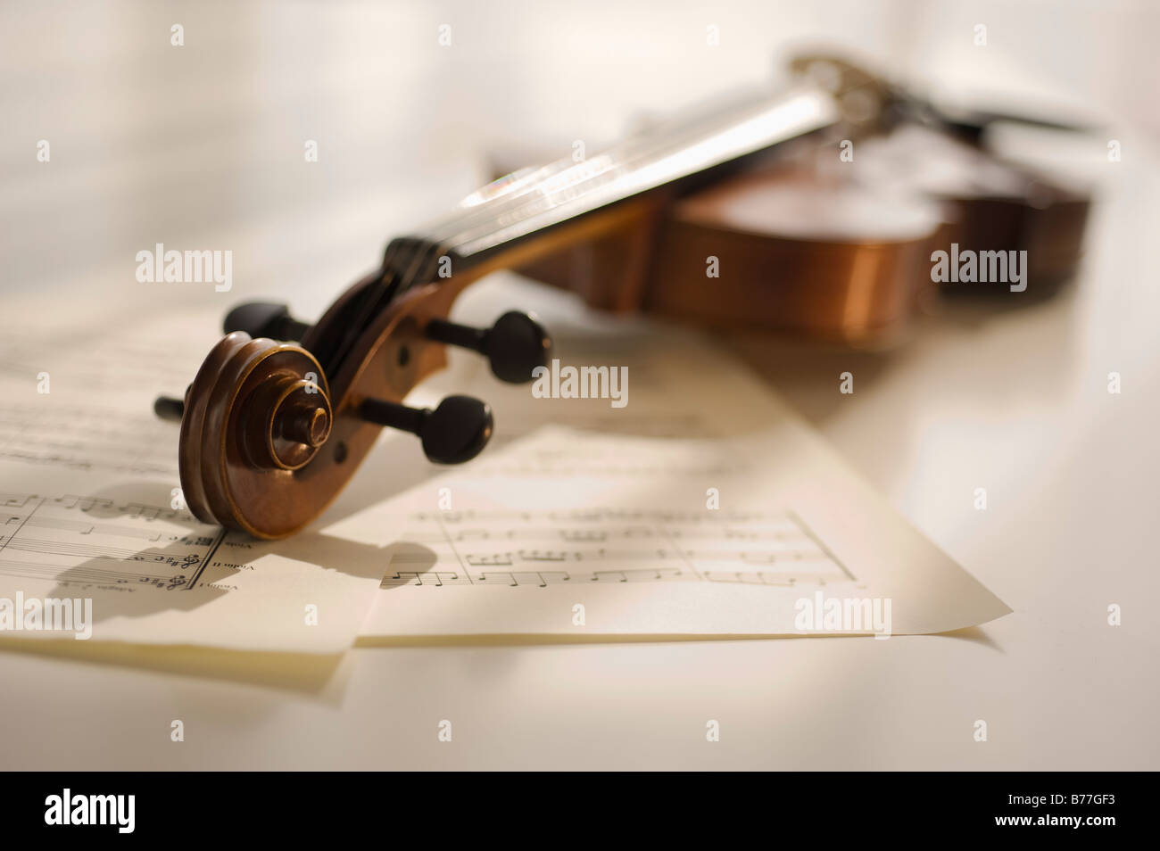 Violine Noten Handauflegen Stockfoto