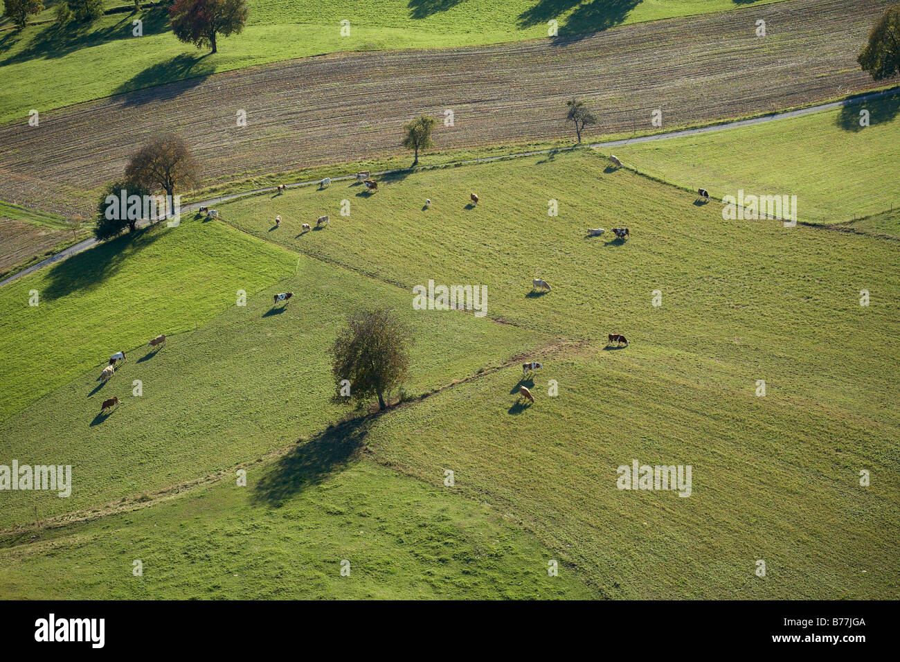 Weide in der Sattnitz-Berge in der Nähe von Wurdach Und Ploeschenberg, Luftbild, Kärnten, Austria, Europe Stockfoto