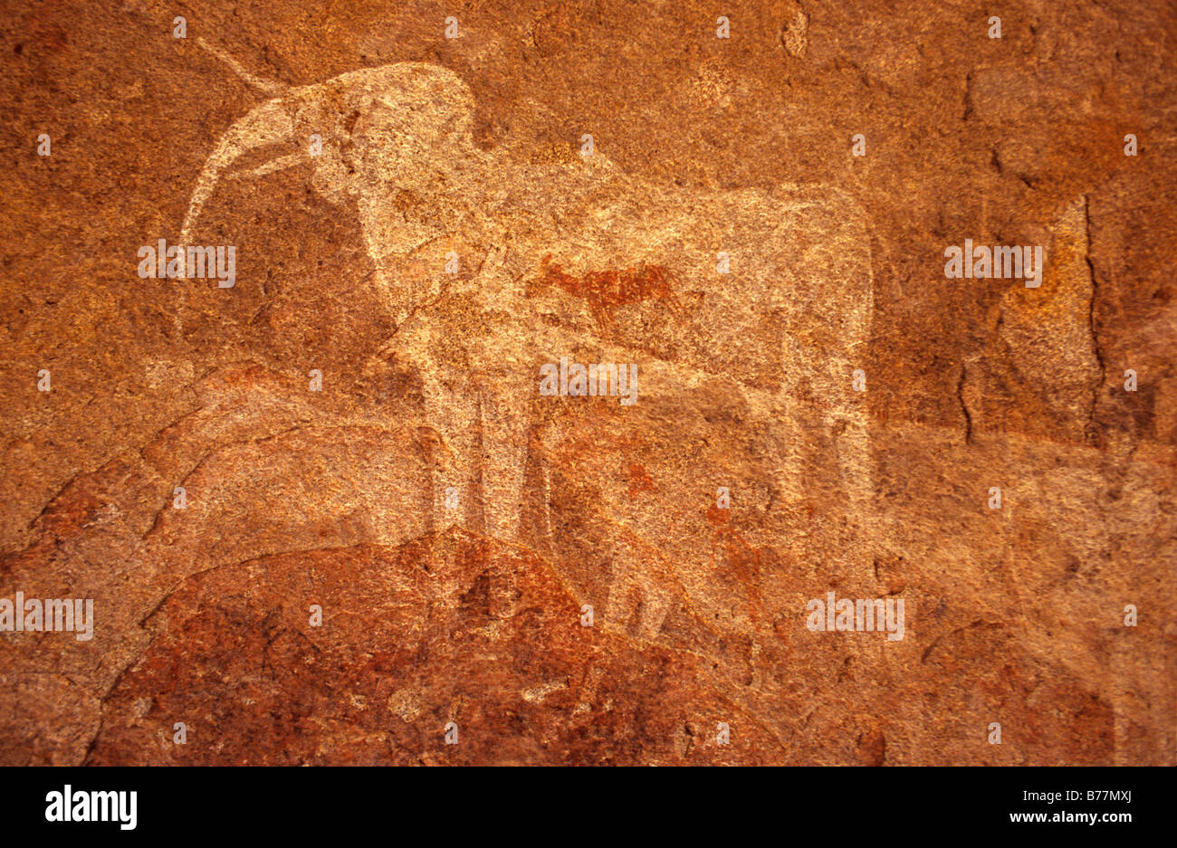 Felsen, die Zeichnung von den berühmten weißen Elefanten im Philipp Grotto in der Nähe von Ameib Ranch, Namibia, Afrika Stockfoto