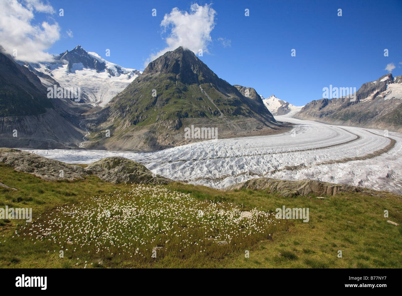 Aletsch Gletscher, Wallis, Schweiz, Europa Stockfoto