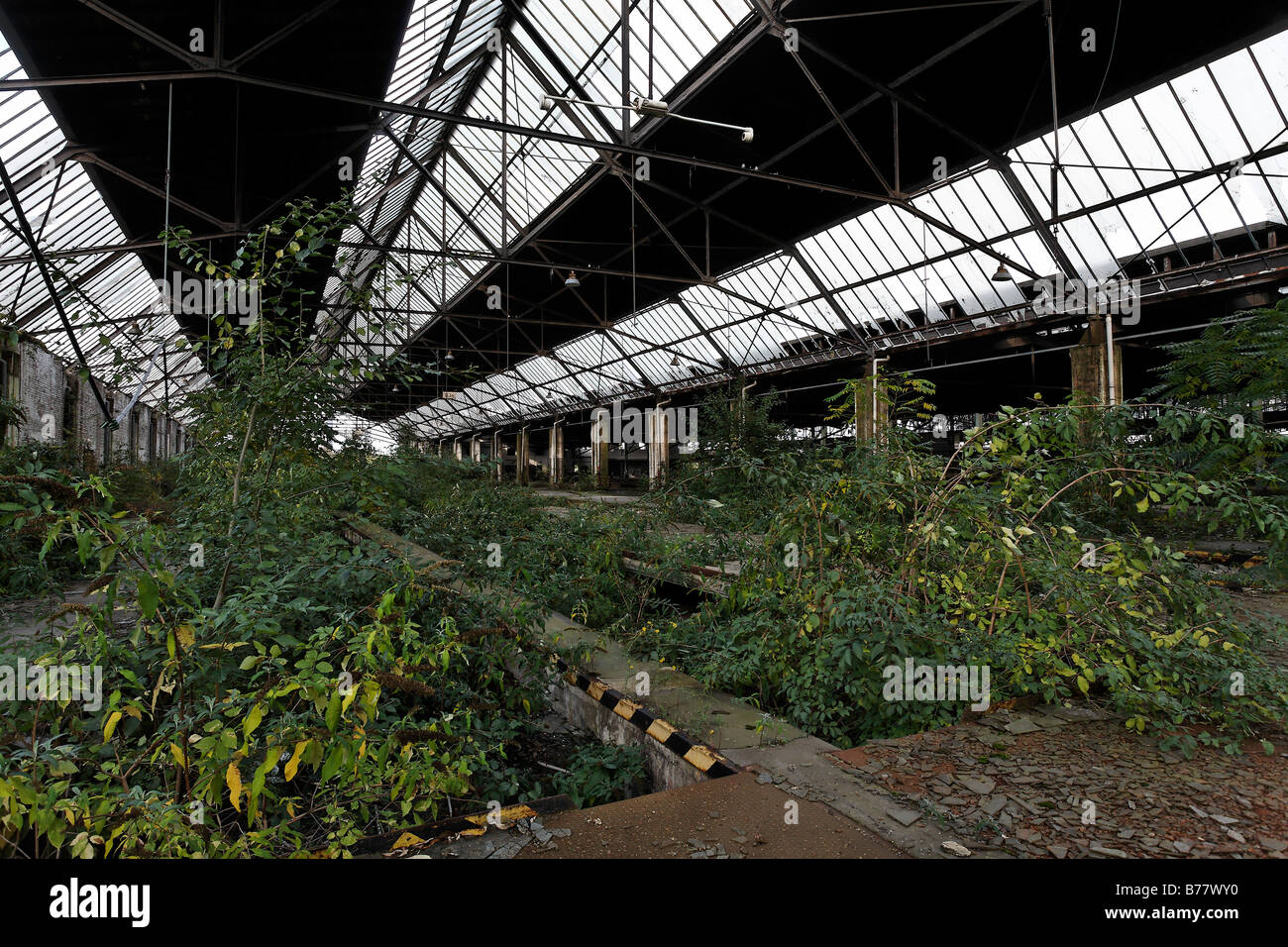 Halle des ehemaligen Güterbahnhofs Duisburg, bewachsen mit Büschen, Ruhr und Umgebung, Nordrhein-Westfalen, Deutschland, Europa Stockfoto