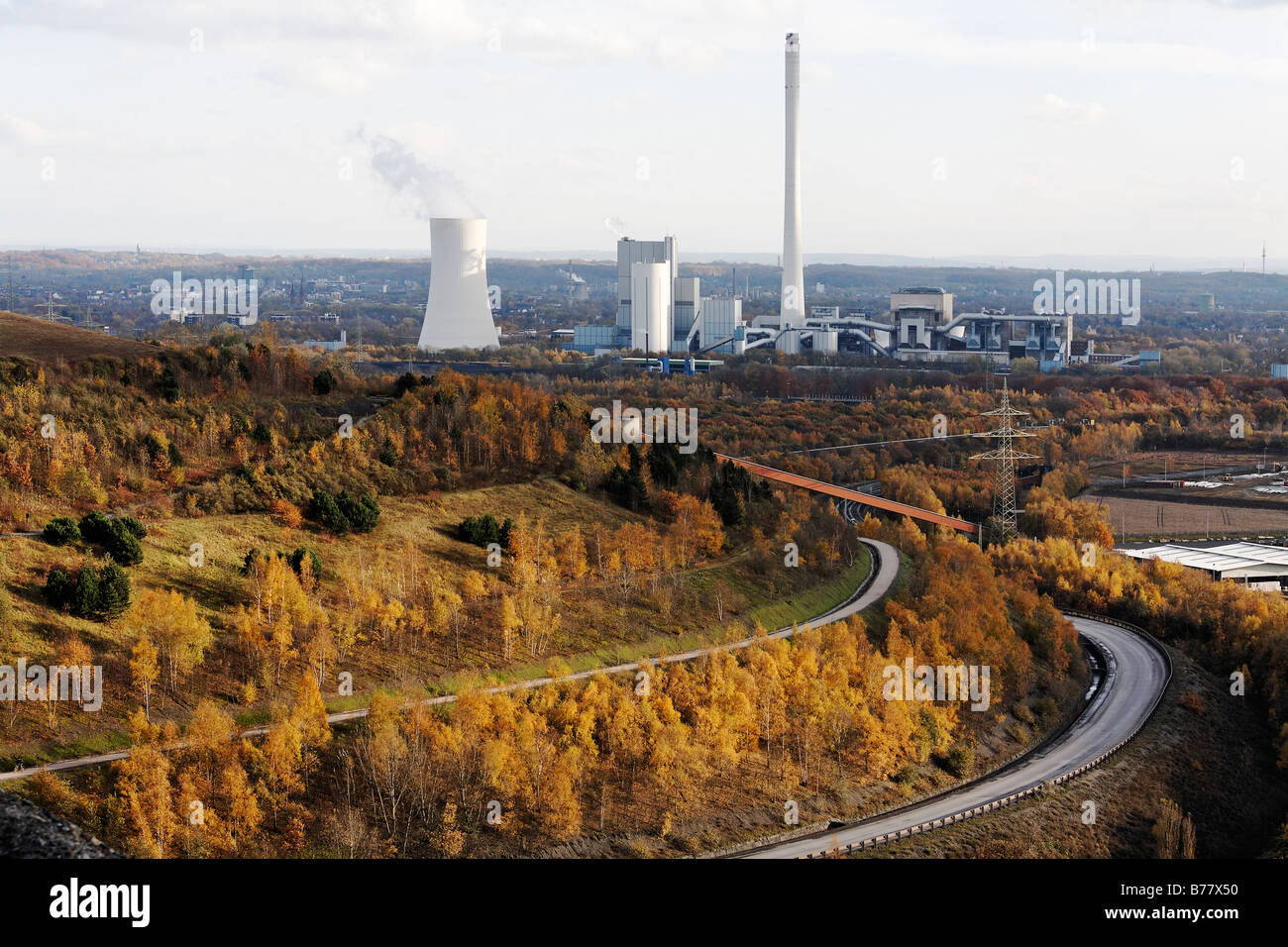 Park im Herbst, Halde Halde, Industrielandschaft, Herten, Recklinghausen, Ruhrgebiet, Nordrhein-Westfalen, Deutschland Stockfoto