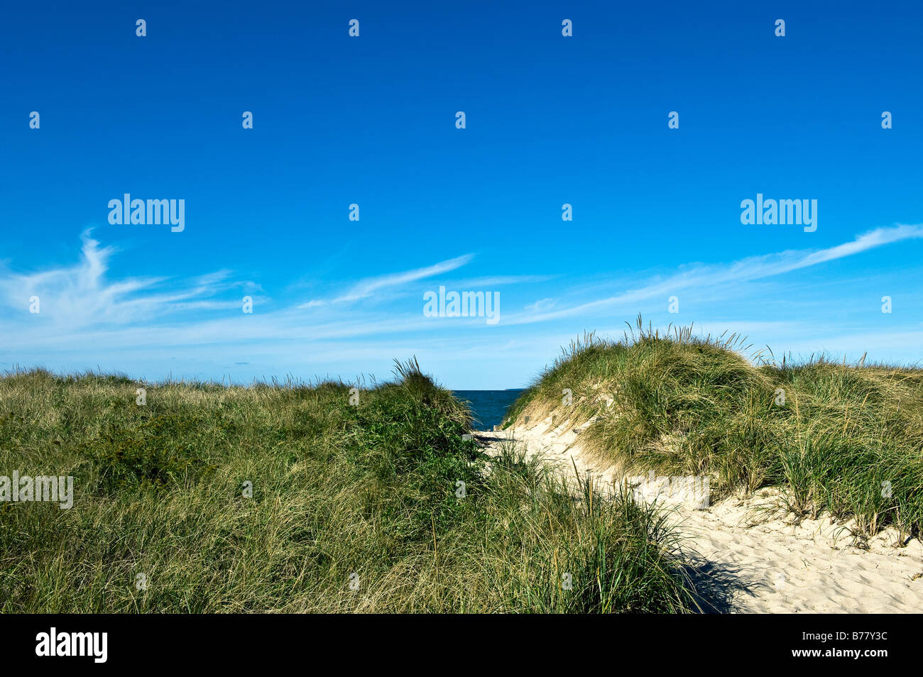 Düne Weg führt zum Strand Crosby Strand von Cape Cod Bay Stockfoto