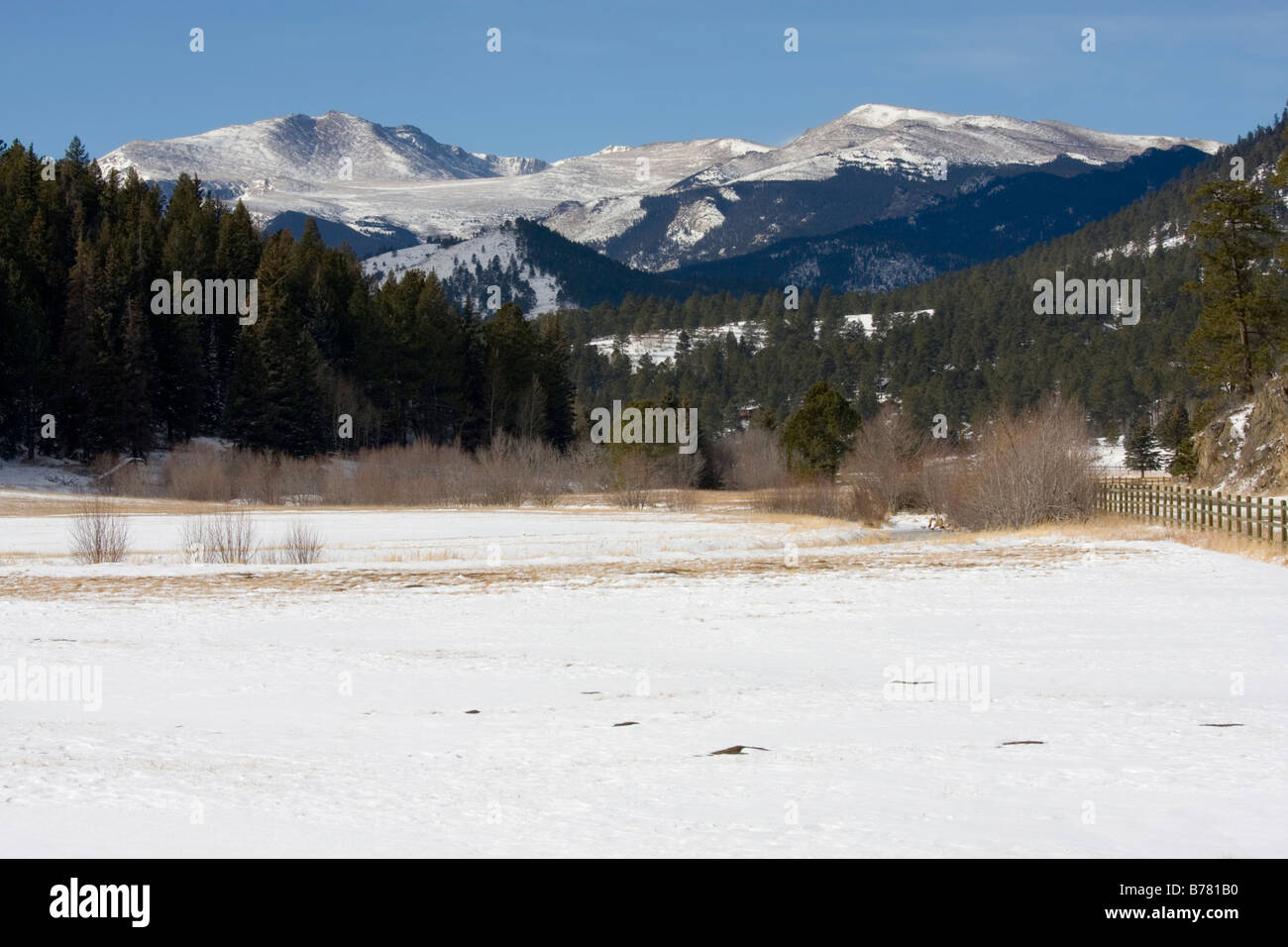 Verschneiten Ranch am Fuße des 13000 Fuß Mount Evans Colorado im Winter Stockfoto