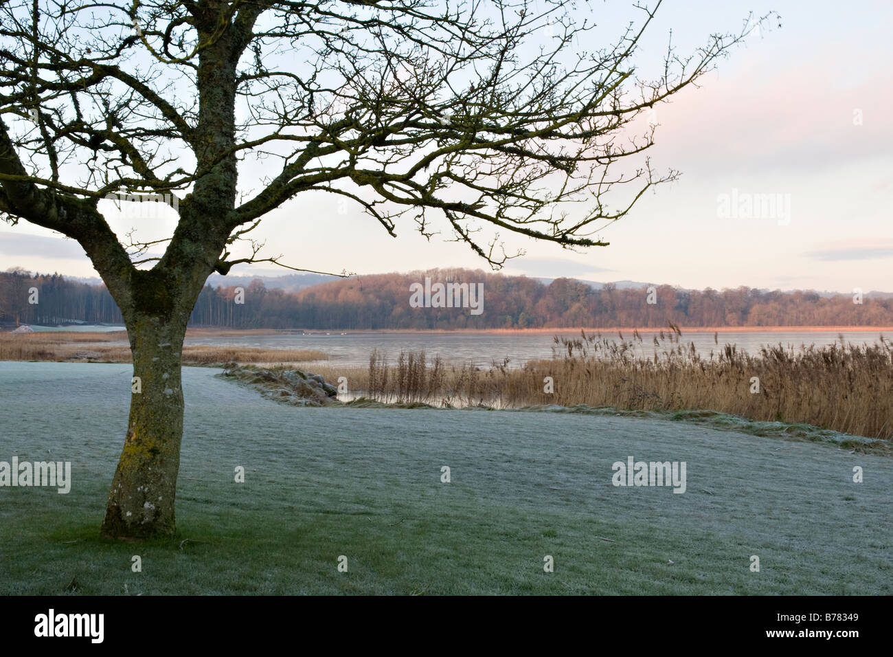 Morgendämmerung am Lough Erne Golfresort Stockfoto