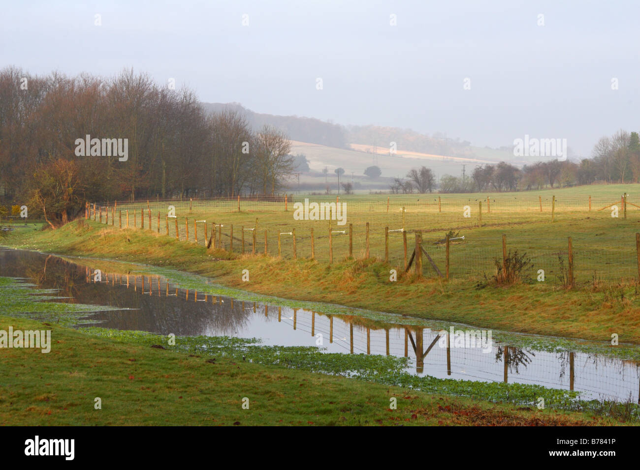 Stream in einem Feld in West Wycombe, Buckinghamshire, Großbritannien Stockfoto