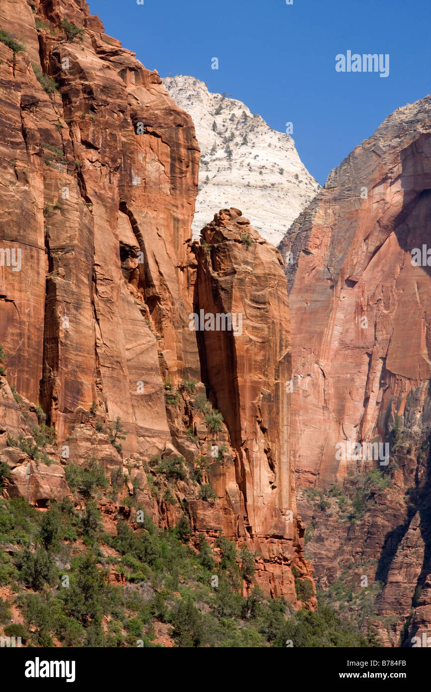 Senkrechte Wände im Zion Canyon Zion National Park Stockfoto