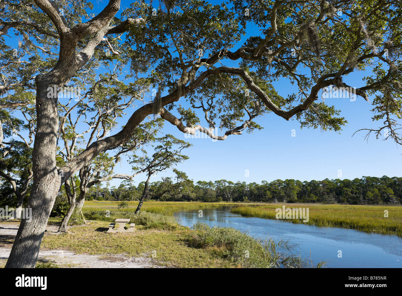 Clam Creek Picknick-Bereich, Jekyll Island, Georgia, USA Stockfoto