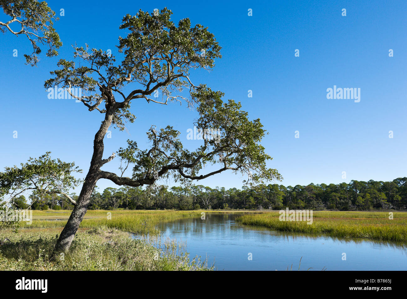 Creek Lodge Clam Picknick-Bereich, Jekyll Island, Georgia, USA Stockfoto