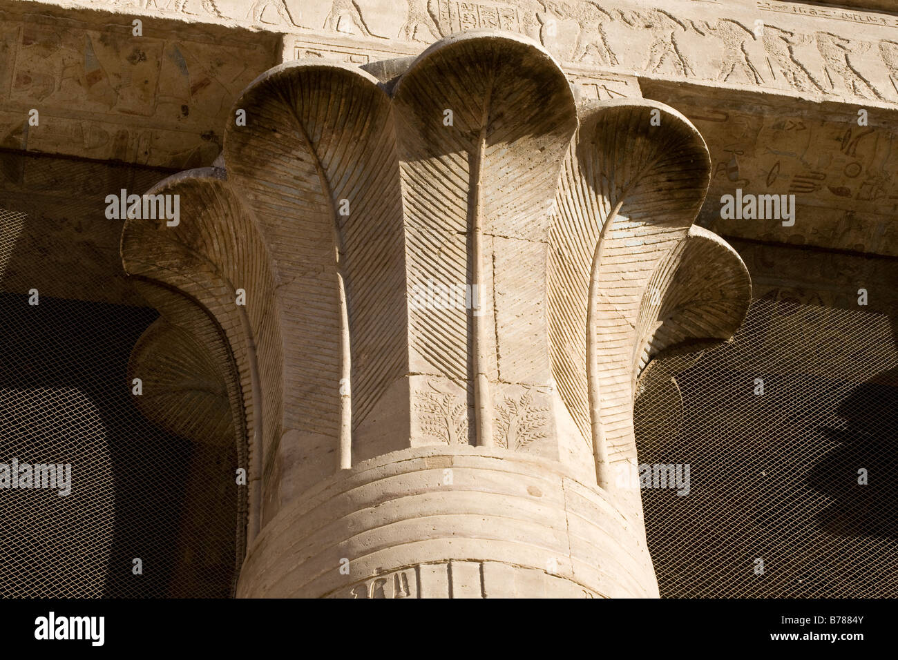 Nahaufnahme von Spalte Kapital, Edfu Tempel Ägyptens Stockfoto