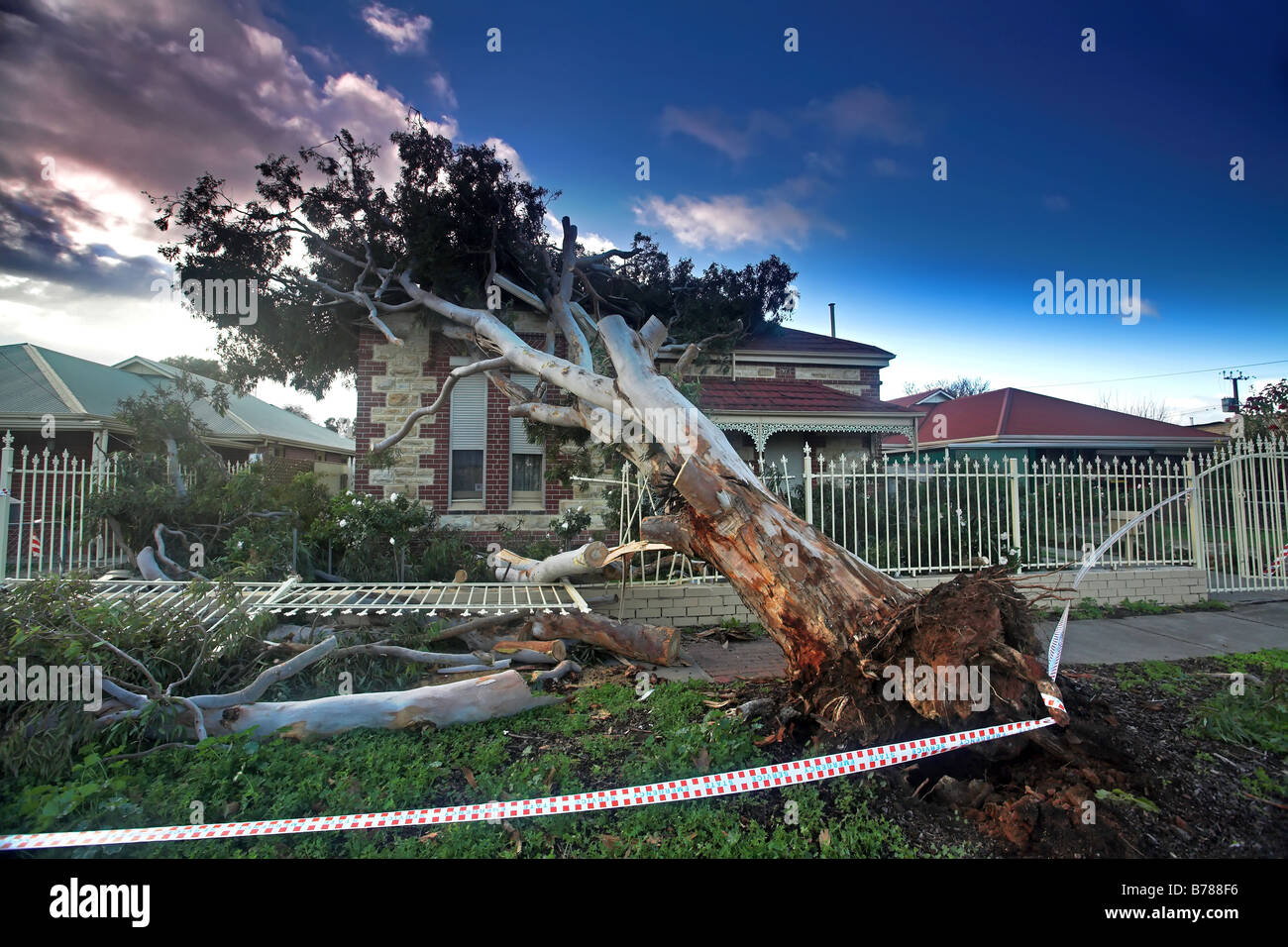 Umgestürzten Baum auf ein Haus während eines Sturms gelandet und haben ein Haus beschädigt Stockfoto
