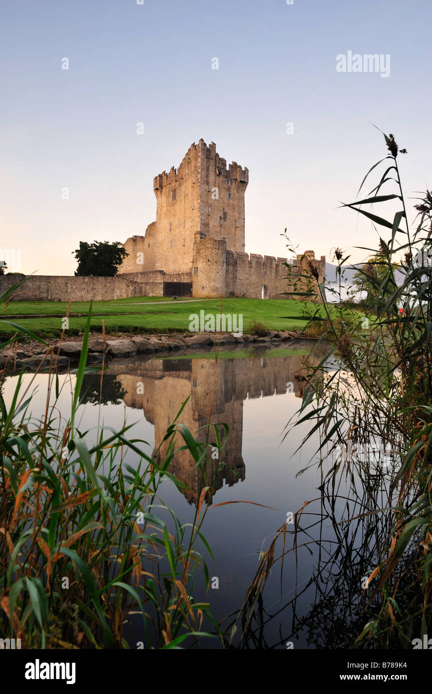 Morgenlicht auf Ross Castle, Killarney, Co.Kerry Stockfoto