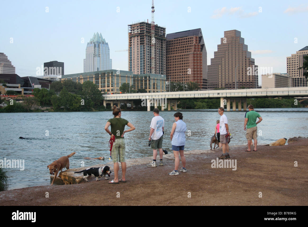 Austin Texas Innenstadt Hundepark Colorado river Stockfoto