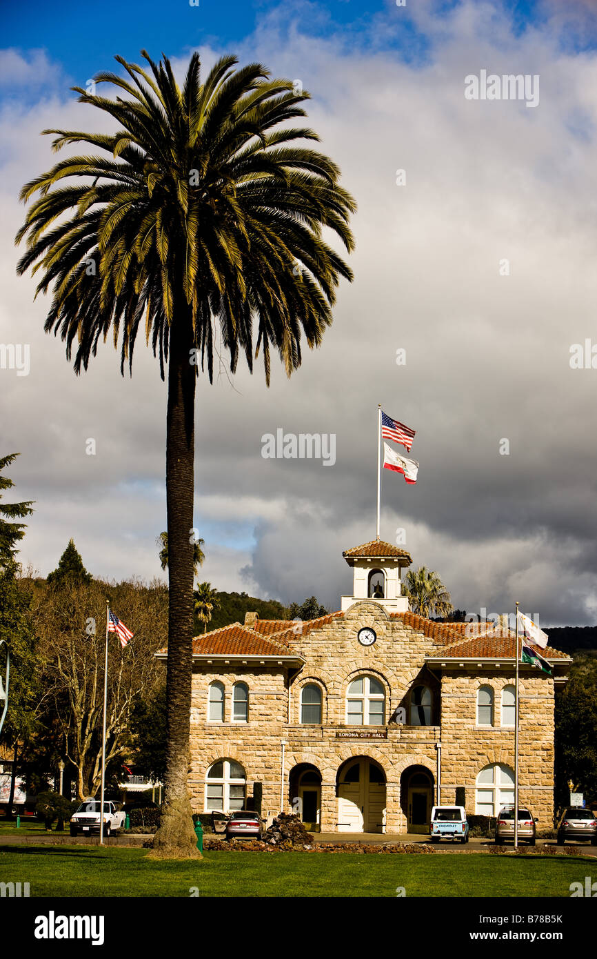 Eine Palme in der Nähe von Sonoma Kalifornien Rathaus und Plaza. Stockfoto