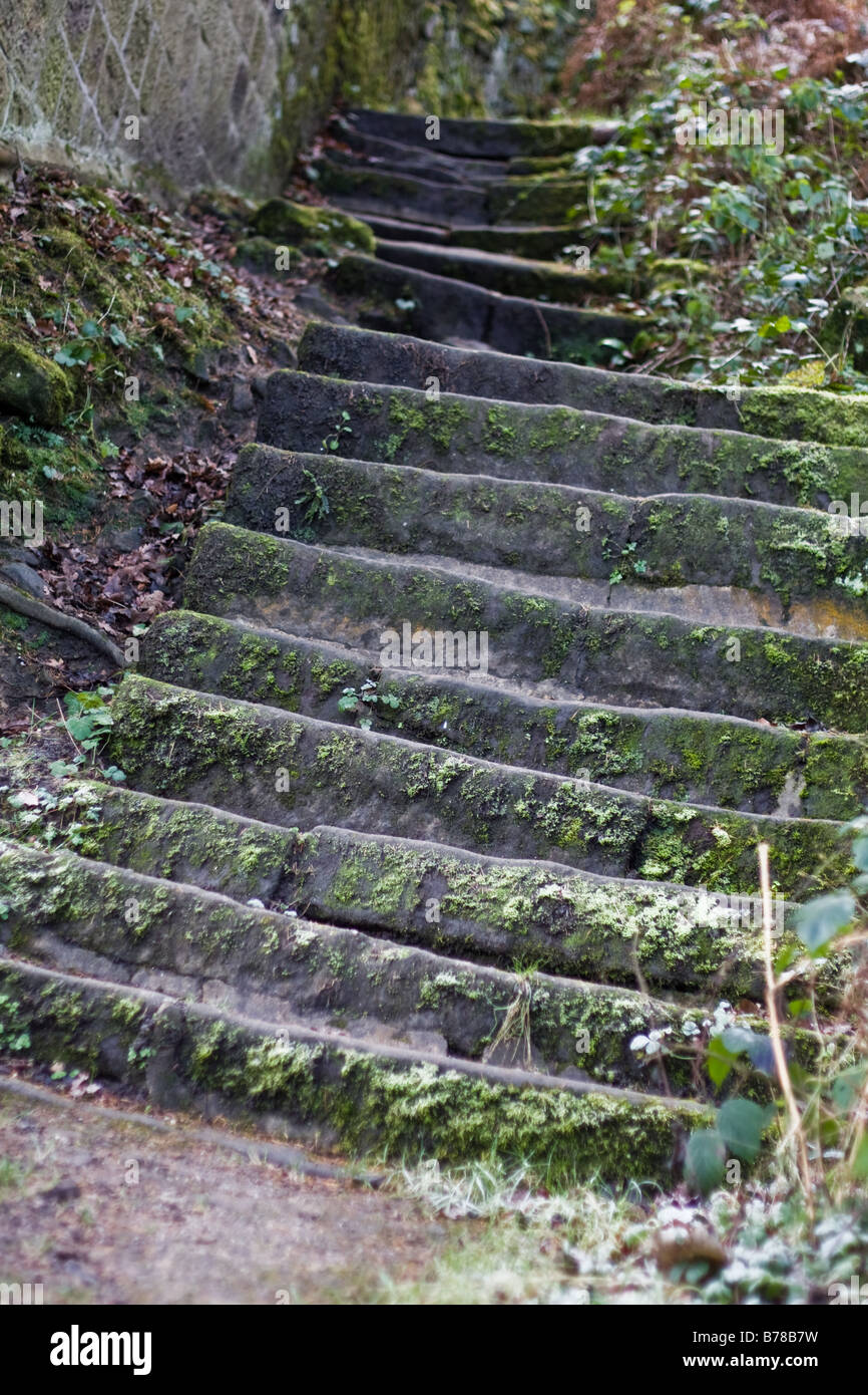 Krumme Stufen führen zum Ilkley Moor Stockfoto