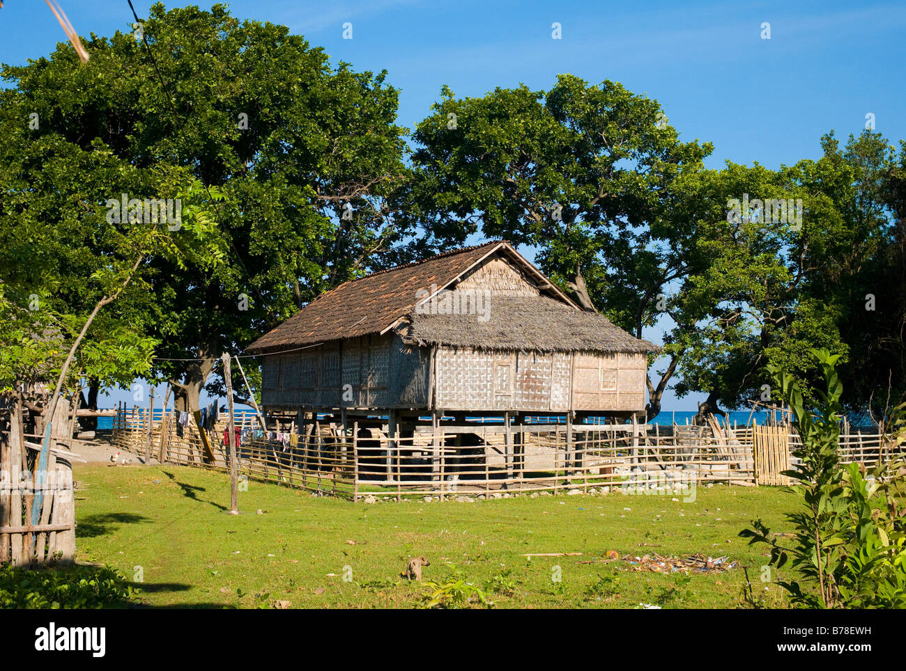 Haus in einem Fischerdorf, kleine Sunda-Inseln, Indonesien, Süd-Asien Stockfoto