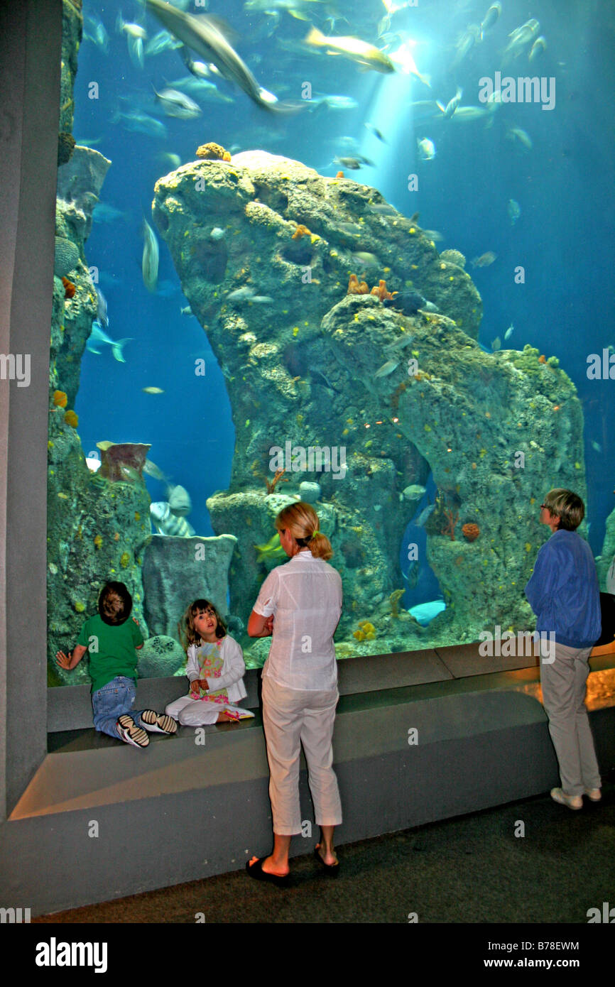 Menschen touring South Carolina Aquarium in Charleston South Carolina Stockfoto