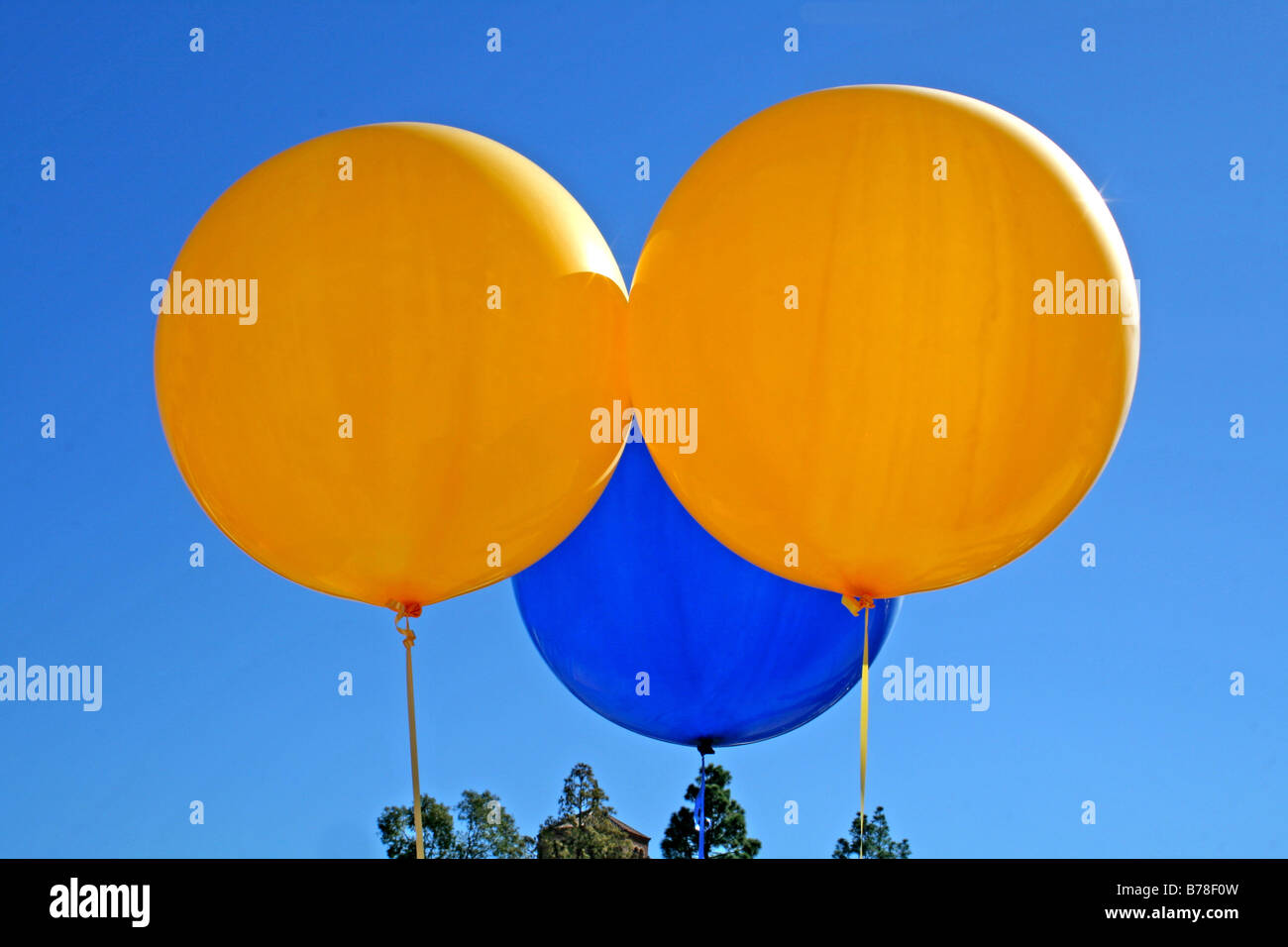 Aufgeblasene orange Ballons mit blauen Himmel im Hintergrund Stockfoto