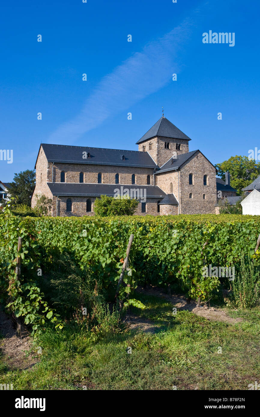 Basilika Saint-Aegidius, älteste Kirche im Rheingau, Hessen, Deutschland, Europa Stockfoto