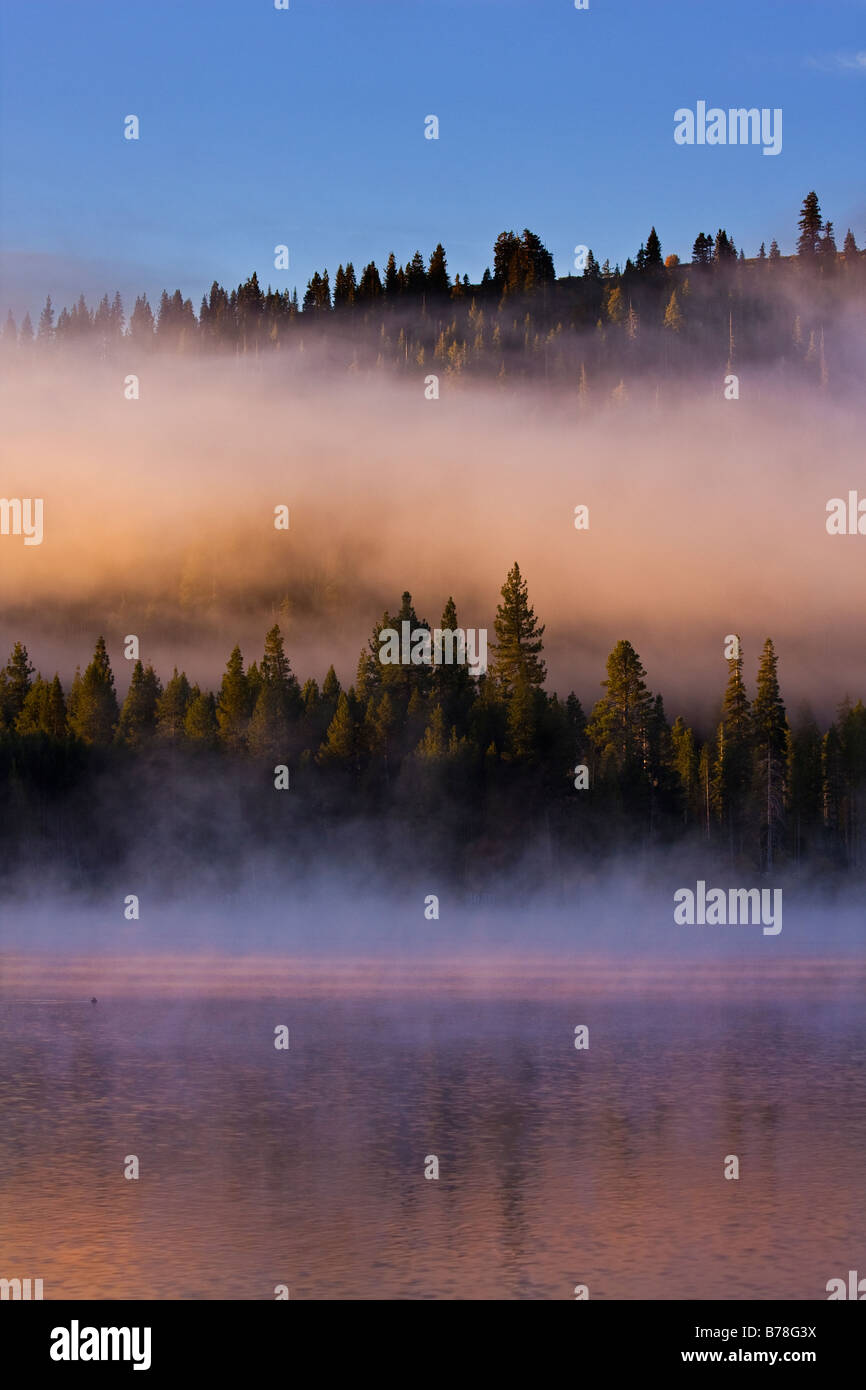 Nebel, Reflexionen und Alpenglühen am Donner Lake, Kalifornien bei Sonnenaufgang Stockfoto