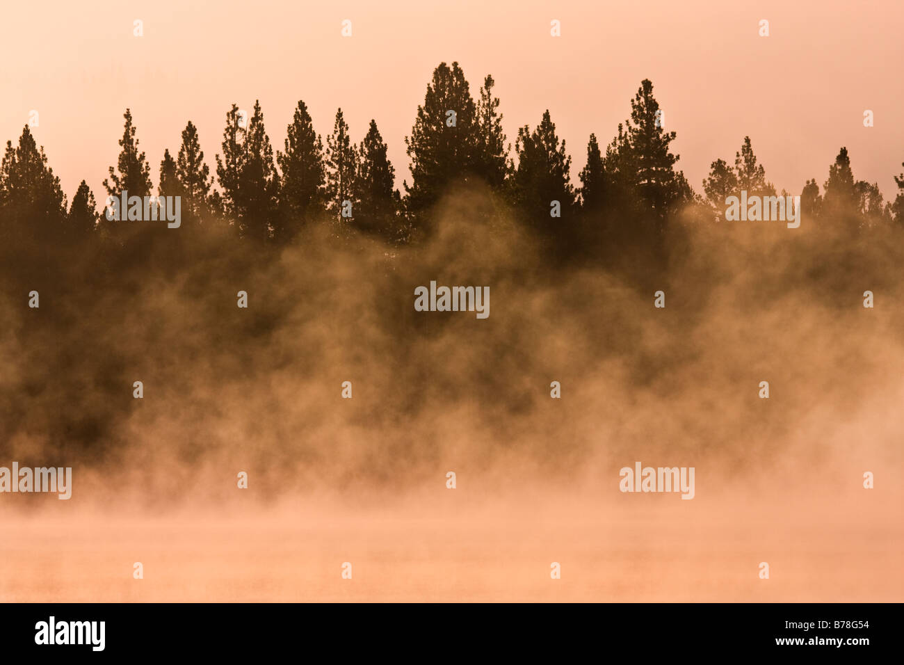 Nebel, Reflexionen und Alpenglühen am Donner Lake, Kalifornien bei Sonnenaufgang Stockfoto