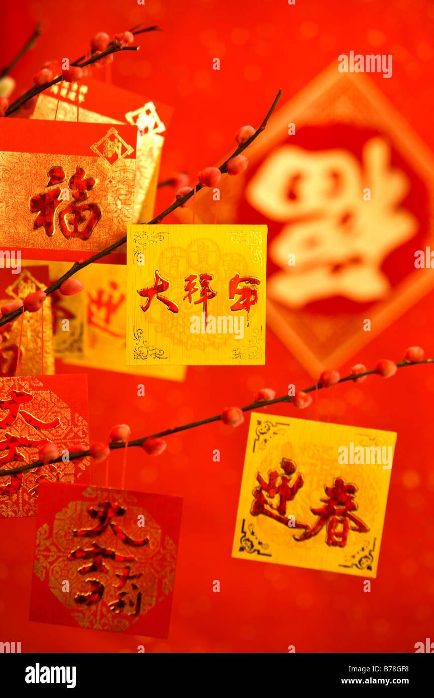 Nahaufnahme der Karten für die Dekorationen an den Baum hängen Stockfoto