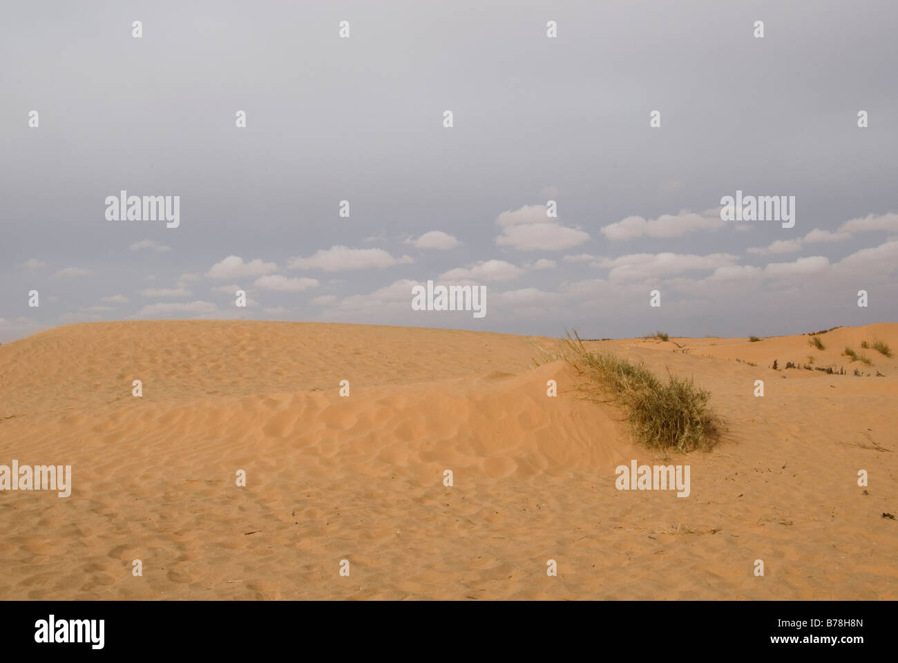 Sandwüste, Tunesien, Afrika Stockfoto