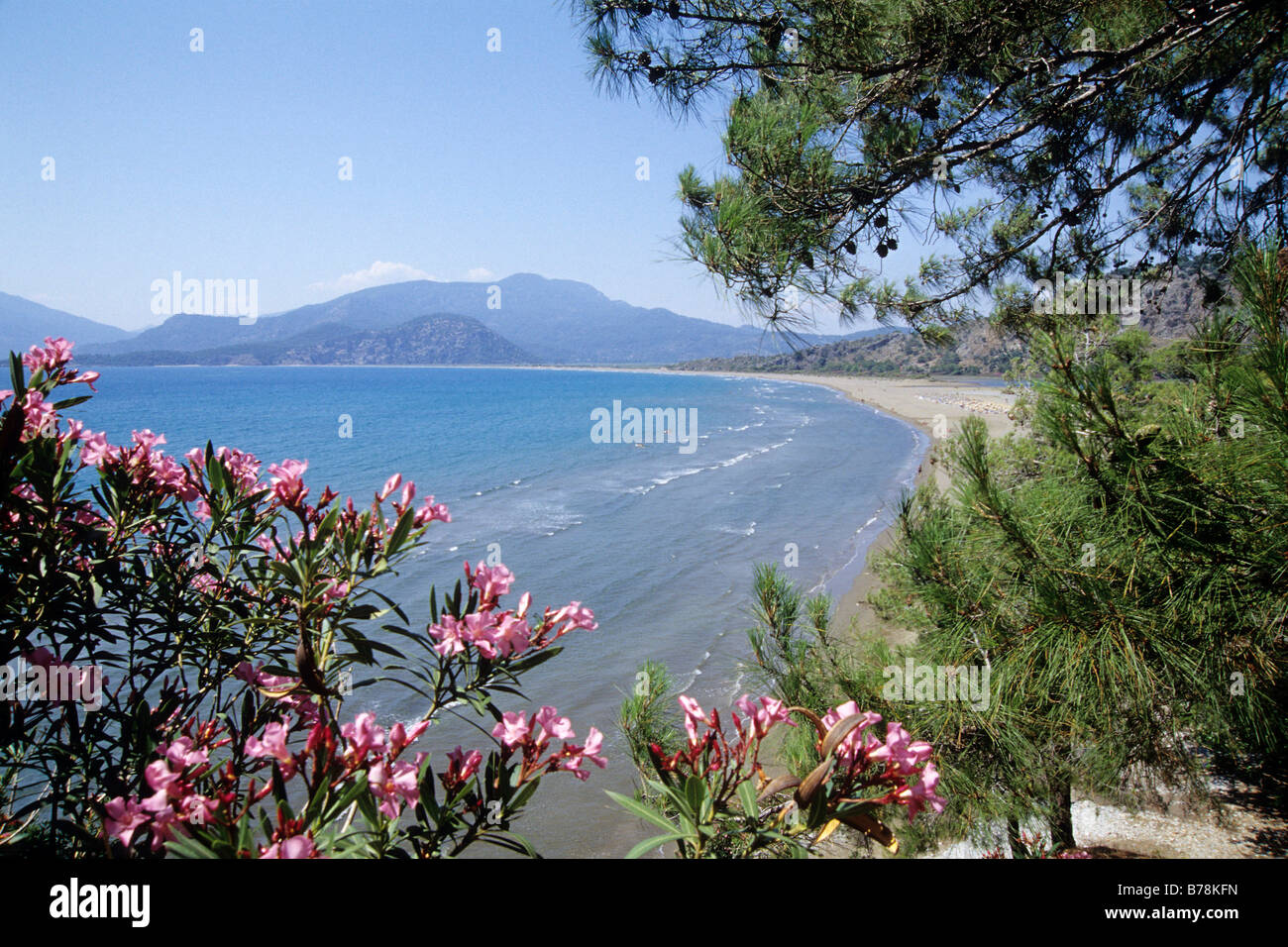 Naturschutzgebiet mit Oleander, Iztuzu Strand, Turtle Beach, Daylan, Provinz Mugla, Mittelmeer, Türkei Stockfoto