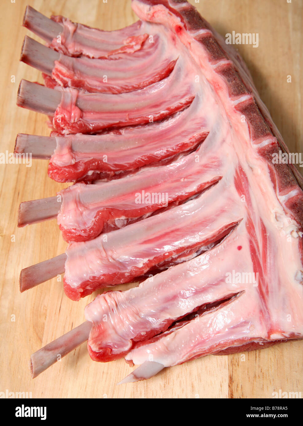 Eine "frenched" Rack mit Lamm, mit dem Fleisch von den Knochen zurückgeschoben und dazwischen geschnitten. Stockfoto