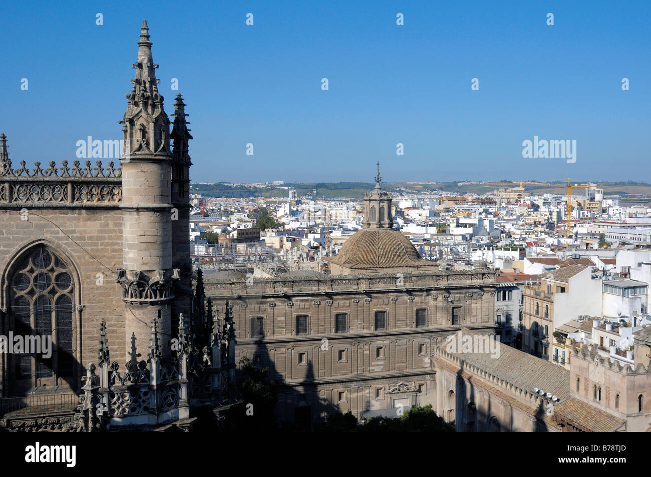 Blick von der Kathedrale Catedral de Santa María De La Sede, Sevilla, Andalusien, Spanien, Europa Stockfoto