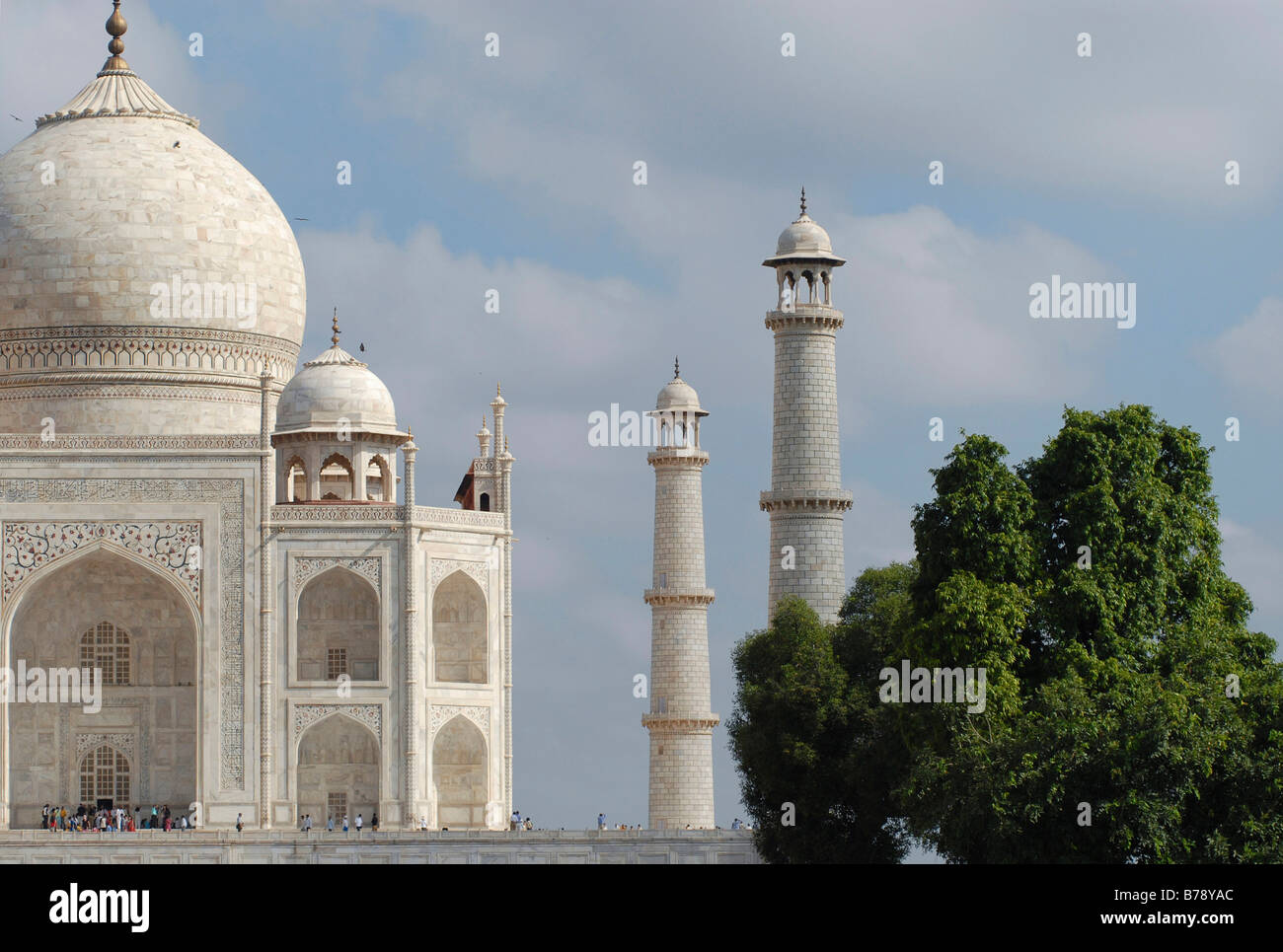 Mausoleum des Taj Mahal, Agra, Uttar Pradesh, Nordindien, Indien, Asien Stockfoto