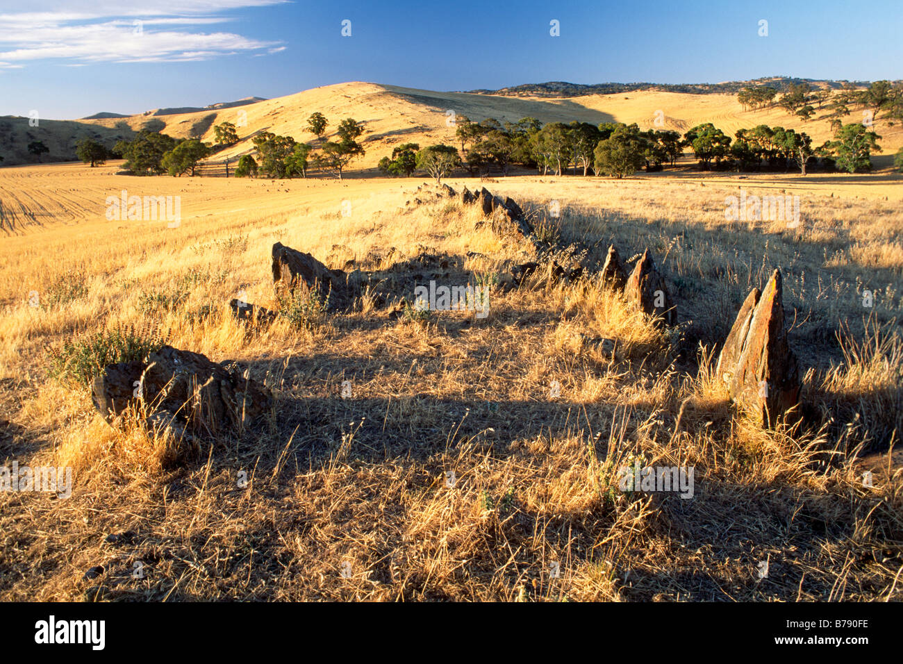 Ackerland in Südaustralien, Australien Stockfoto
