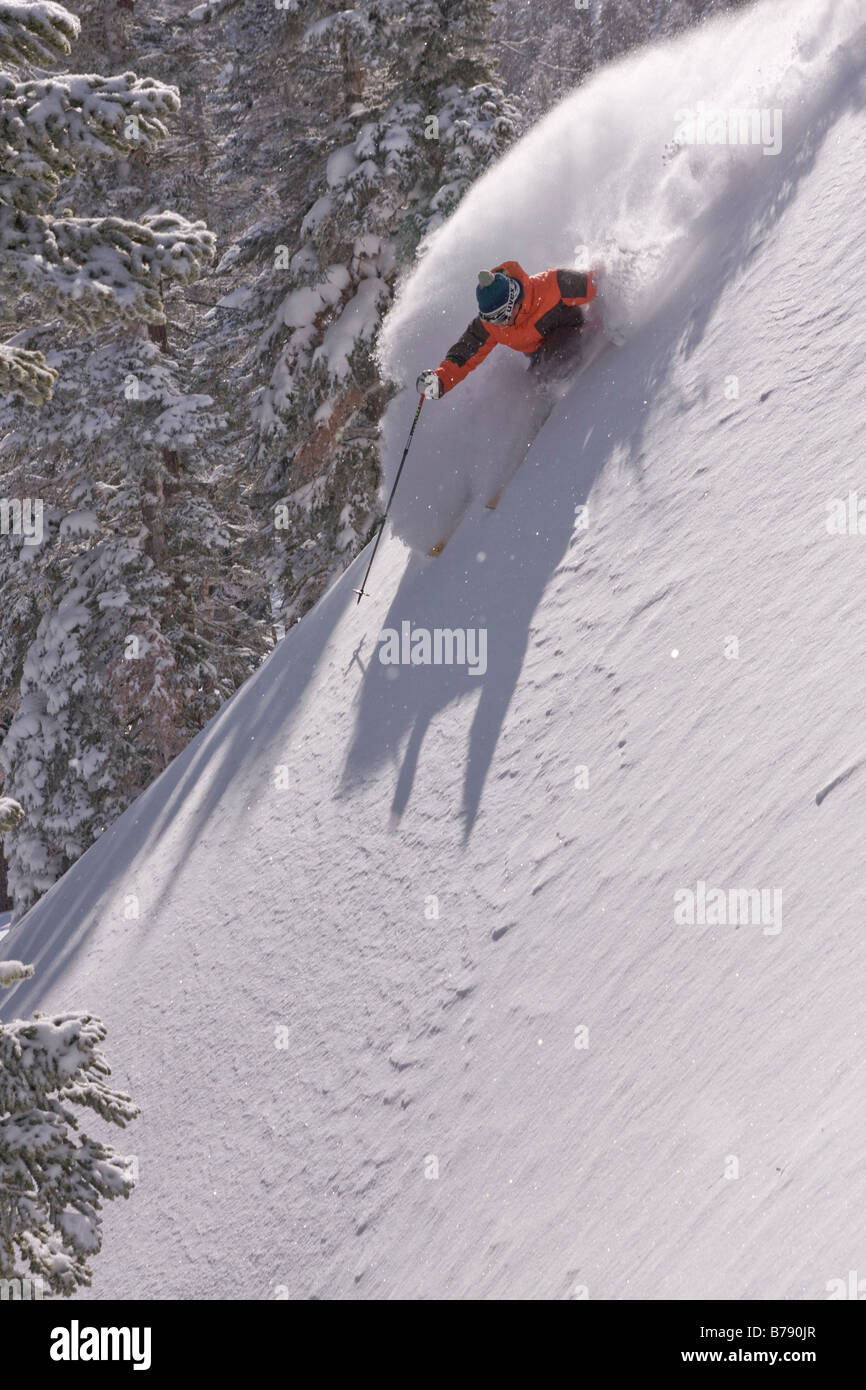 Ein Mann Skifahren Pulverschnee in Northstar at Tahoe Skigebiet in der Nähe von Lake Tahoe in Kalifornien Stockfoto