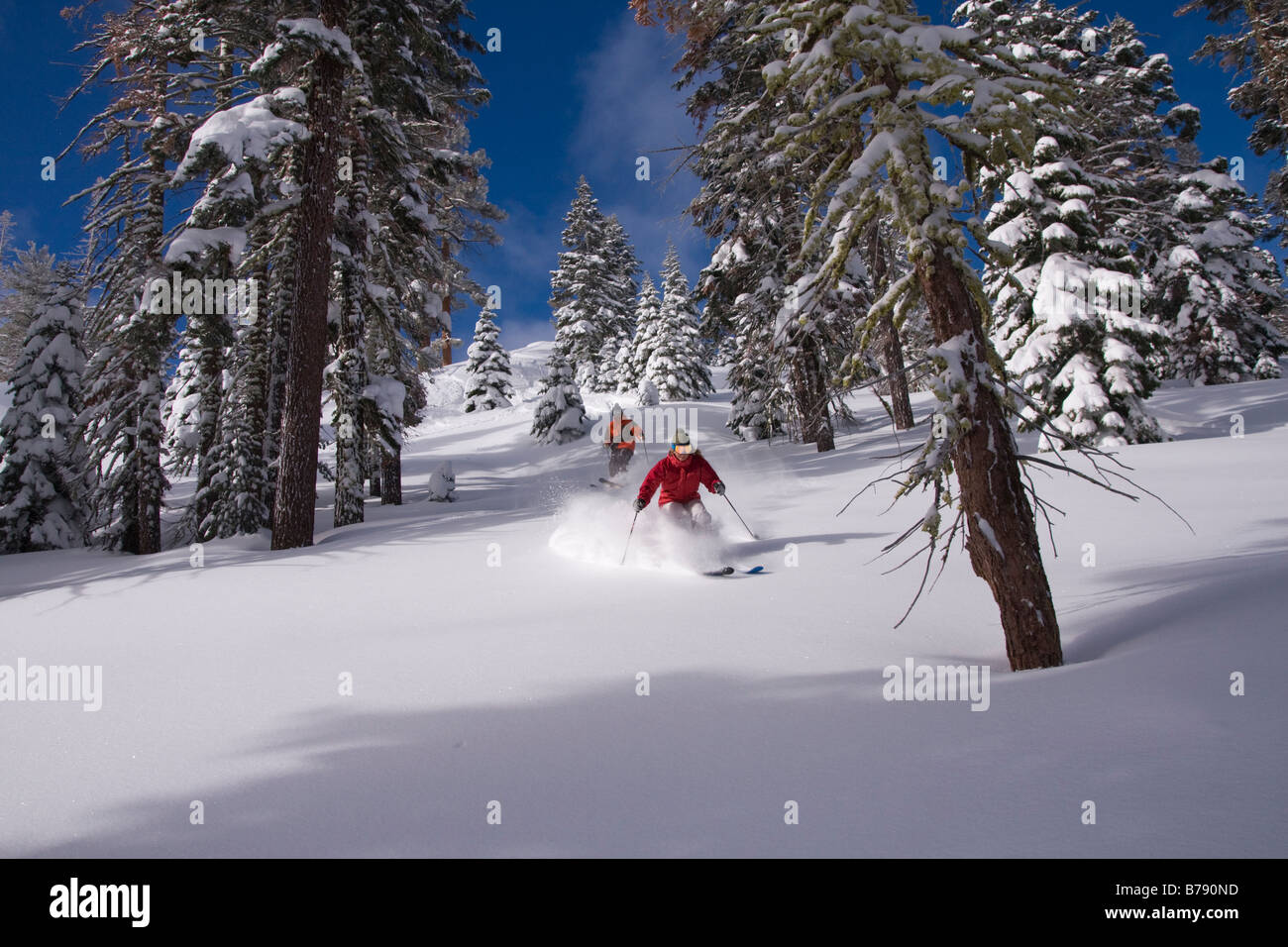 Ein Mann und eine Frau Skifahren Pulverschnee in Northstar at Tahoe Skigebiet in der Nähe von Lake Tahoe in Kalifornien Stockfoto