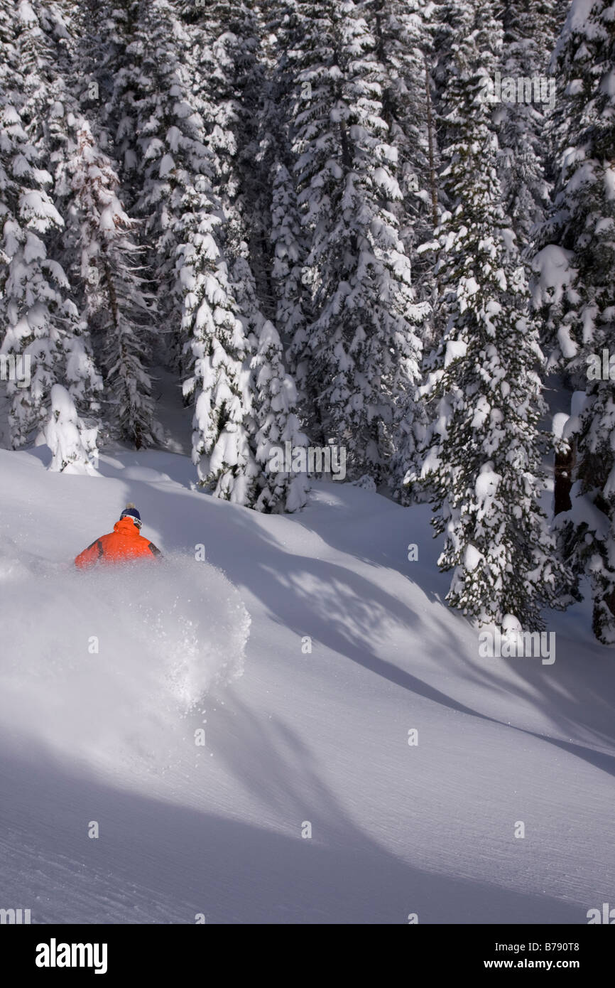 Ein Mann Skifahren Pulverschnee in Northstar at Tahoe Skigebiet in der Nähe von Lake Tahoe in Kalifornien Stockfoto