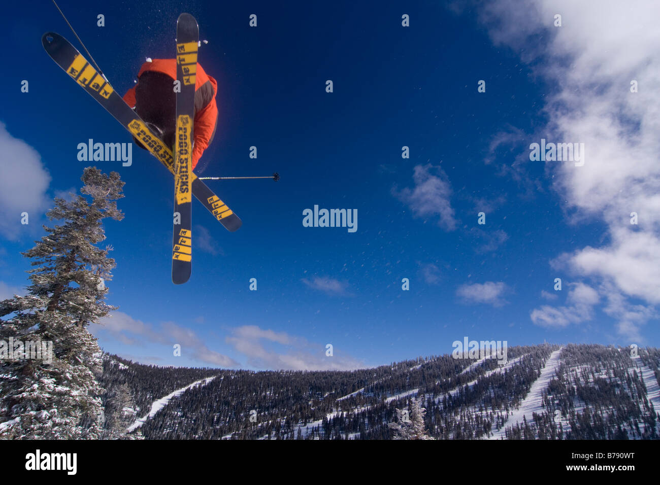 Ein Mann Skifahren Pulverschnee in Northstar at Tahoe Skigebiet in der Nähe von Lake Tahoe in Kalifornien Stockfoto