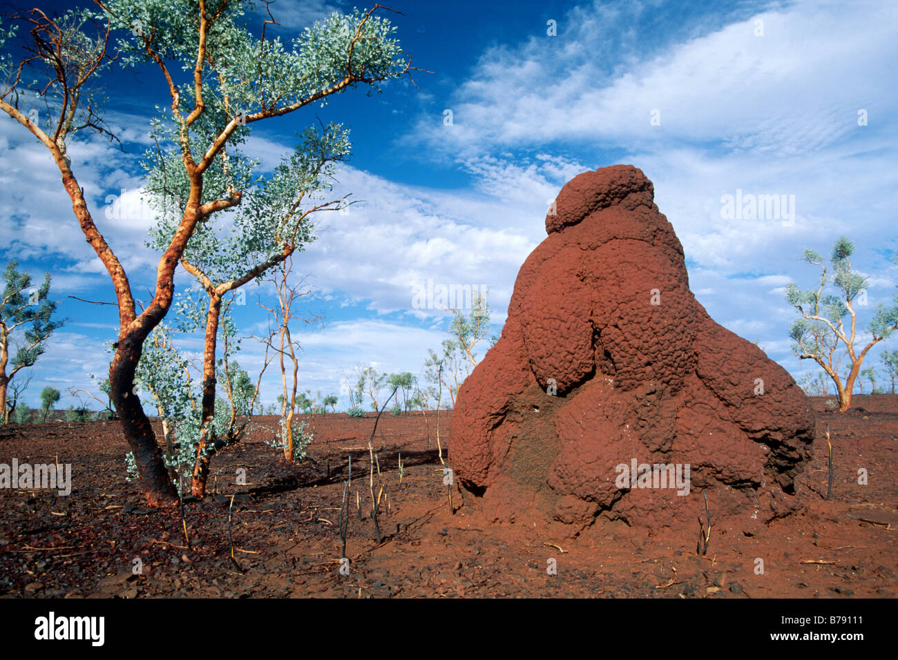 Termitenhügel im Karijini National Park, Western Australia, Australien Stockfoto