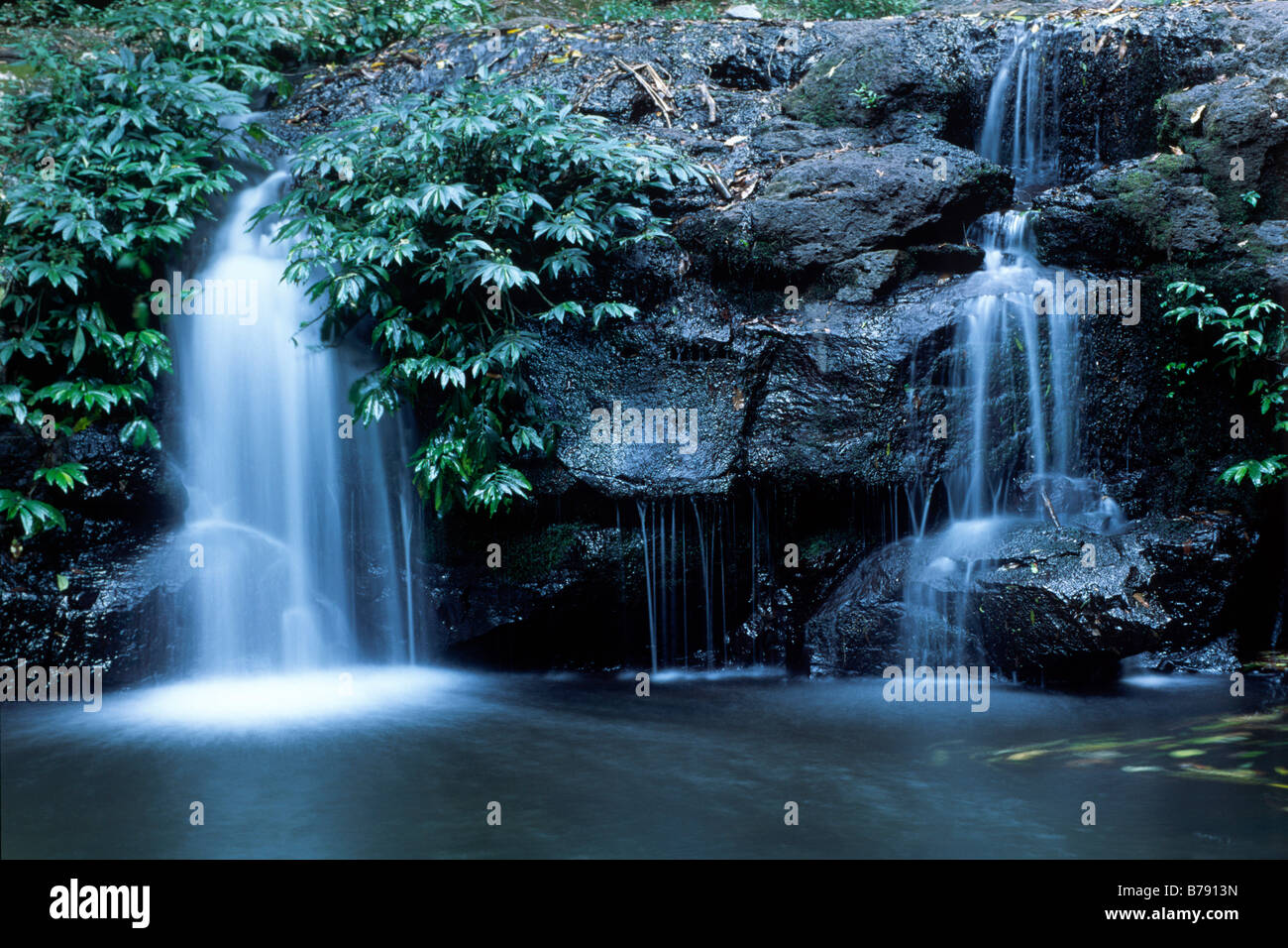 Elebana Wasserfall, Lamington Nationalpark, Queensland, Australien Stockfoto