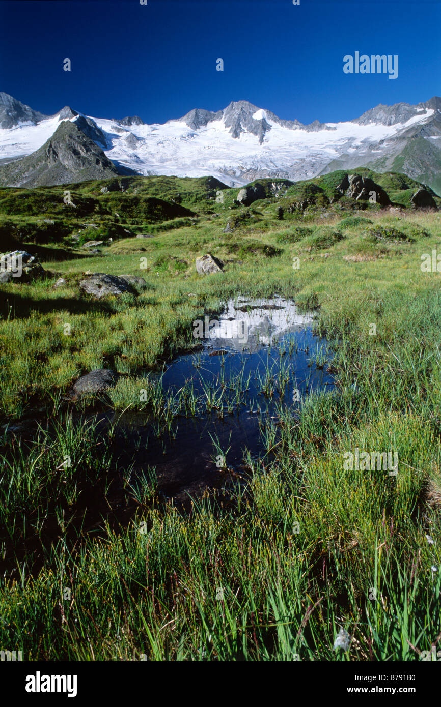 Mt. gröberen Moeseler reflektieren in Moorsee, Zillertaler Alpen, Nord-Tirol, Österreich, Europa Stockfoto